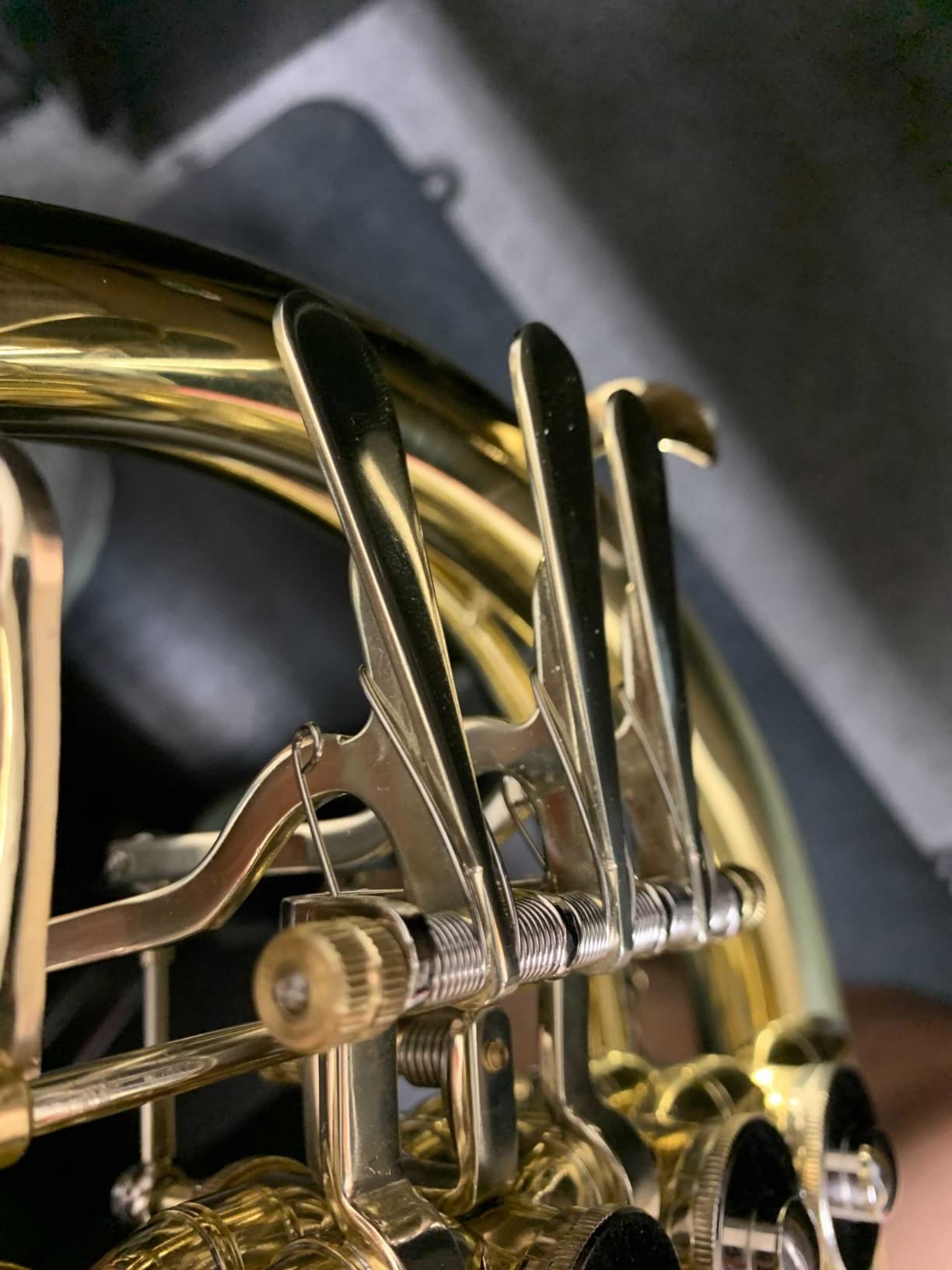 ROWELL Double French Horn, F/Bb 4 Keys Intermediate French Horn, Gold Lacquer F French Horn With Case, Mouthpiece, Gloves and Polishing Cloth customer photo 1
