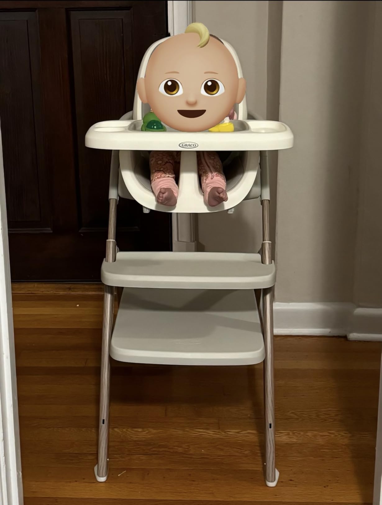 Graco EveryStep 6 in 1 High Chair, Babies and Toddlers Portable Slim High Chair with 6 Growing Stages from Infant to Toddler Seating, Featured Design in Misty customer photo 1
