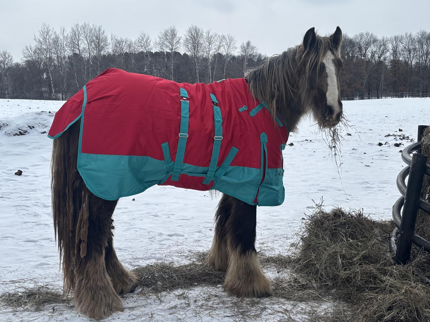 Black Aztec 72 in HILASON 1200D Winter Waterproof Poly Horse Turnout Blanket Belly Wrap customer photo 1