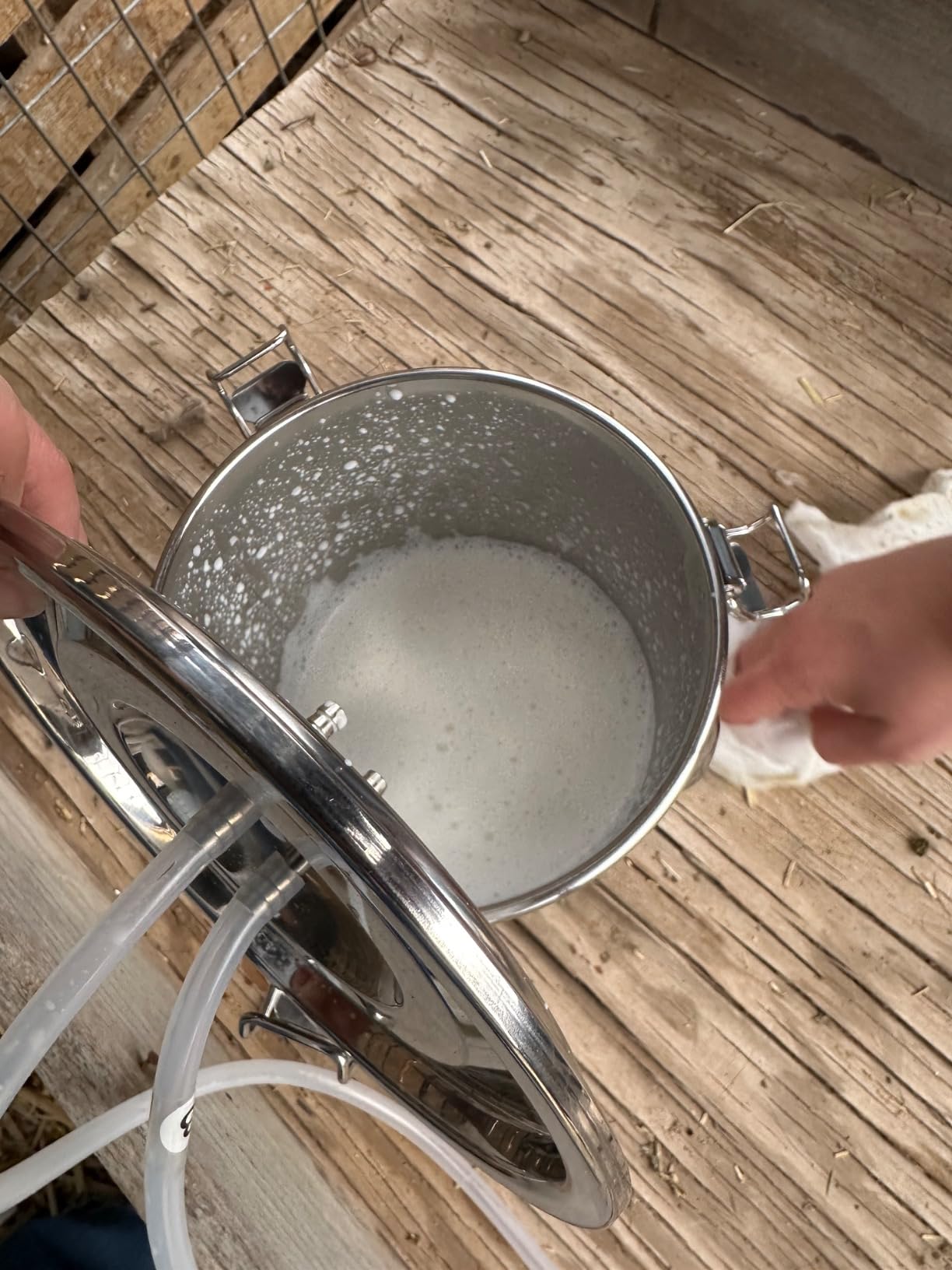 2026 Upgrade 7L Goat Milking Machine, Continuously Adjustable Suction Pulsation Vacuum Electric Milker, Portable Livstock Milking Machine with Stainless Bucket(US Plug)(7L Goat) customer photo 1
