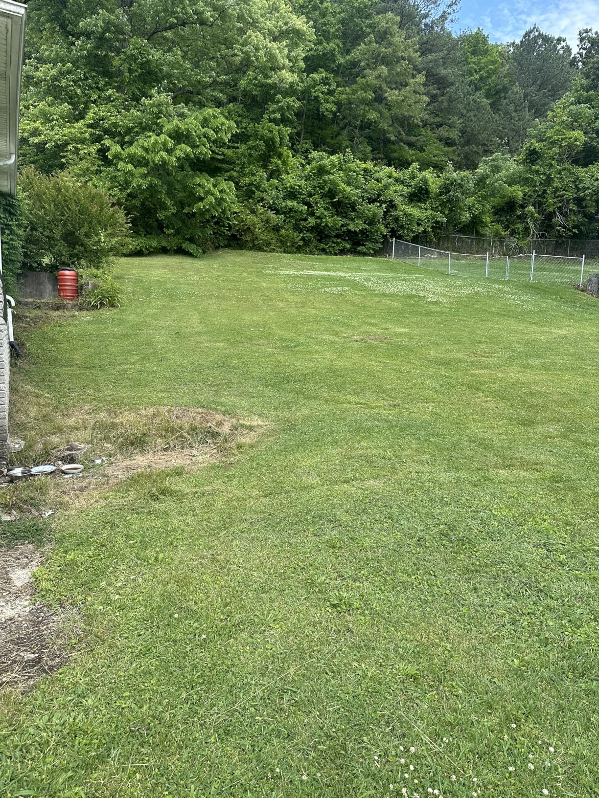 EGO POWER+ Electric Lawn Mower, Cordless, Includes 56V 6.0Ah Battery And 320W Charger - LM2114 customer photo 1