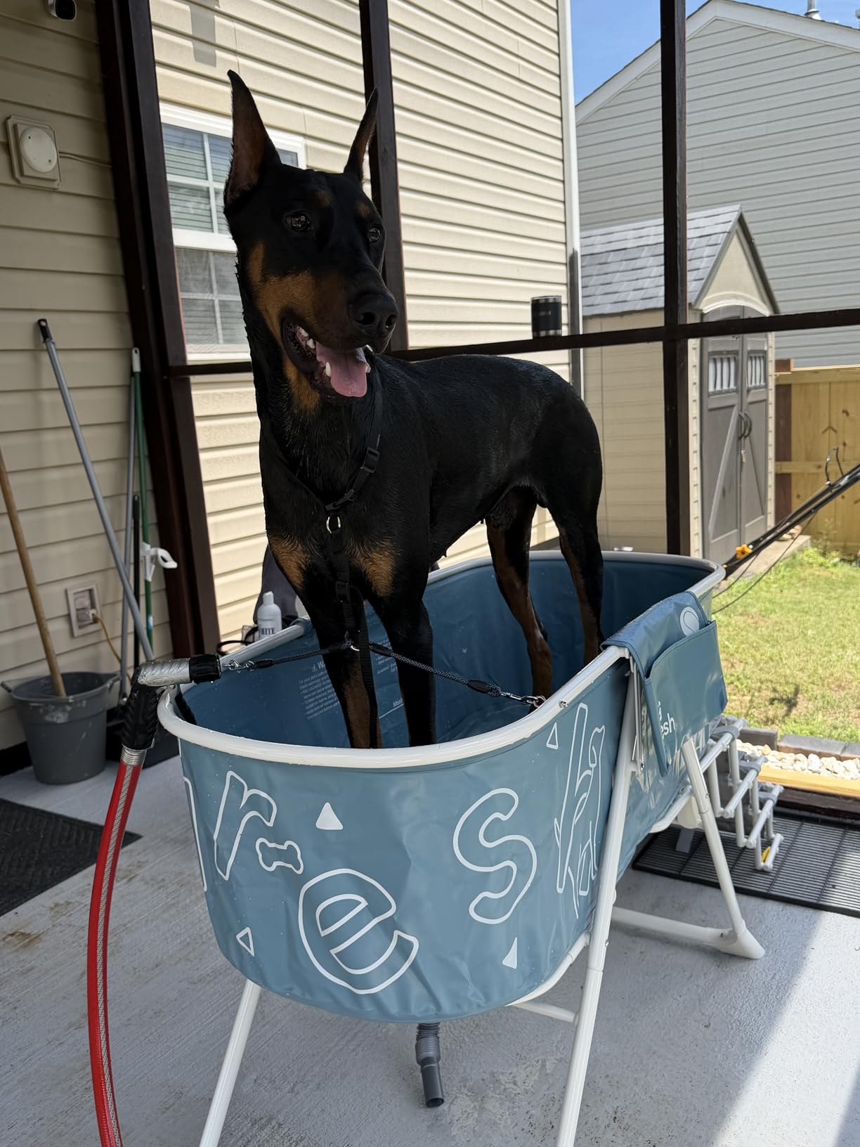 Furesh Big Dipper Dog Bath Tub with Stairs, Elevated Portable Foldable Wash Station with Steps for Bathing, Shower and Grooming, Indoor, Outdoor, for Medium to Large Size Dogs customer photo 1