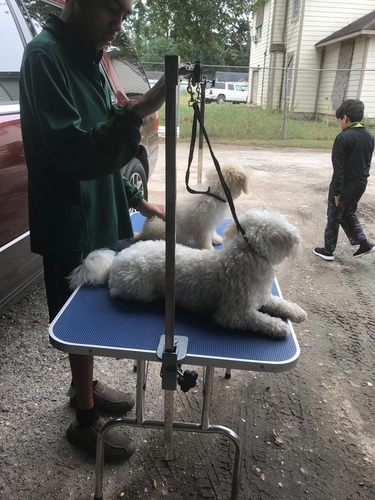 Bonnlo 42.5 inch Hydraulic Dog Grooming Table, Professional Heavy Duty Grooming Table for Dogs, Trimming Table Drying Table w/Arm/Noose customer photo 2