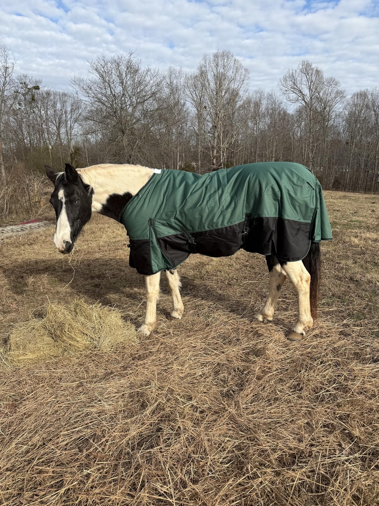 1200D Ripstop Waterproof Breathable Horse Blanket (0g No Fill), Lightweight Turnout Rain Sheet, Keeps Dry in Mud & Wet Weather Pinkgrey 78