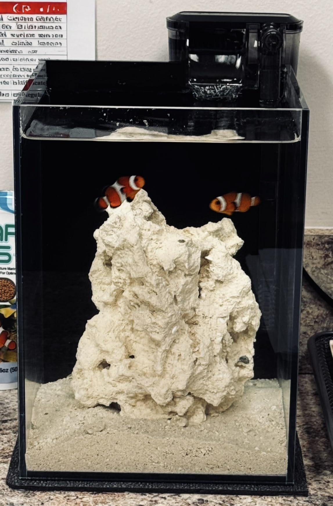 1.5 Gallon Fish Tank Starter Kits, Nano Glass Aquarium with Filter, Led Light for Aquascape DIY Small Betta Fish Tank customer photo 1