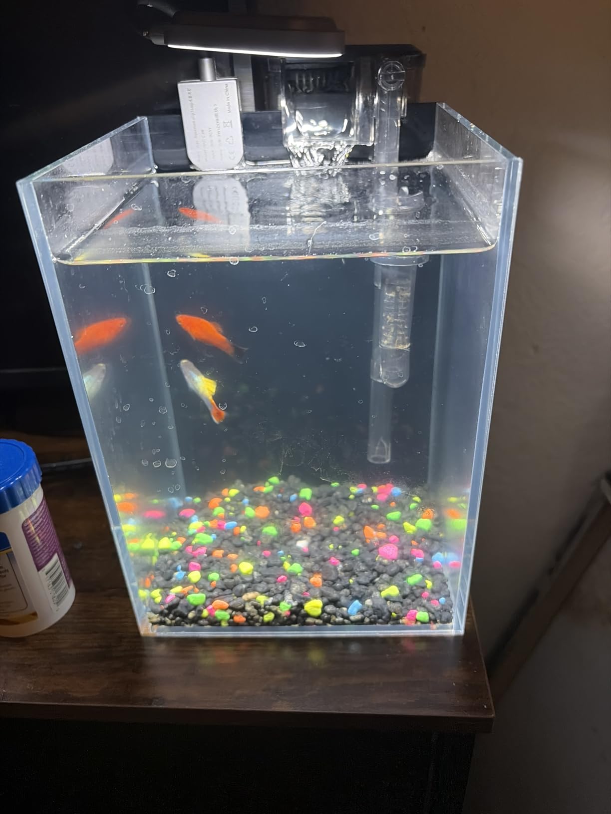 1.5 Gallon Fish Tank Starter Kits, Nano Glass Aquarium with Filter, Led Light for Aquascape DIY Small Betta Fish Tank customer photo 2