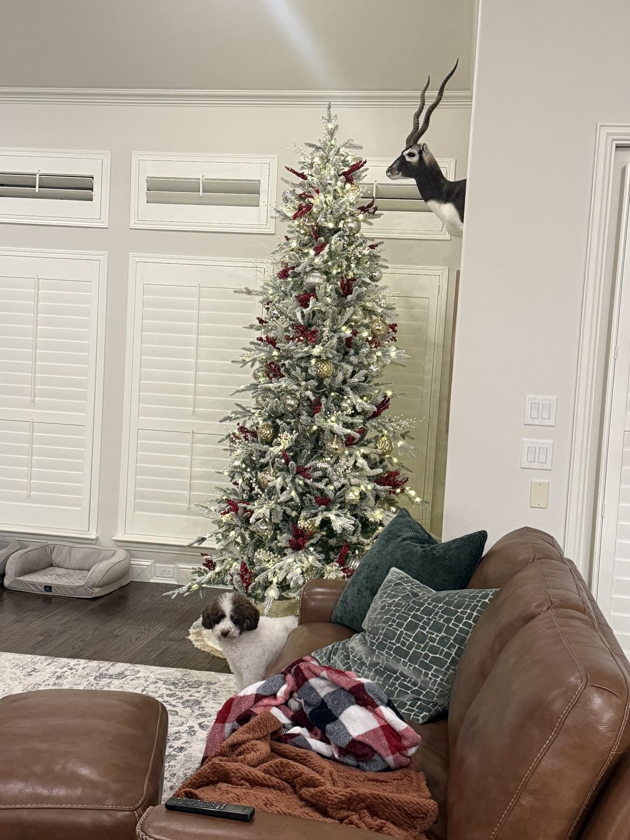 Best Choice Products Lighted Aspen Christmas Tree, 6ft Flocked Artificial Noble Fir, Pre-Lit White & Multicolored LED Lights Premium Holiday Decor - Green customer photo 1