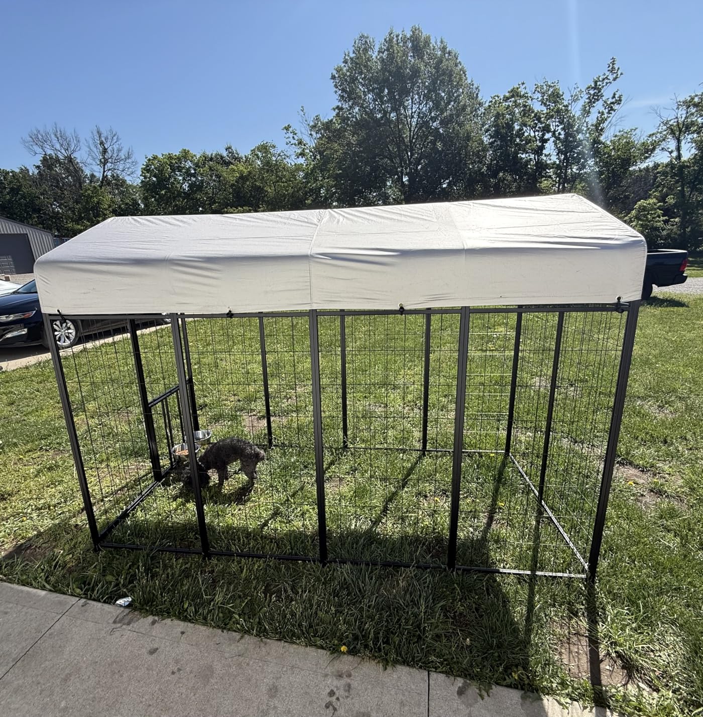 ROOMTEC Heavy Duty Outdoor Dog Kennel with Rotating Bowls, 8 x 4 x 5.6-ft customer photo 1
