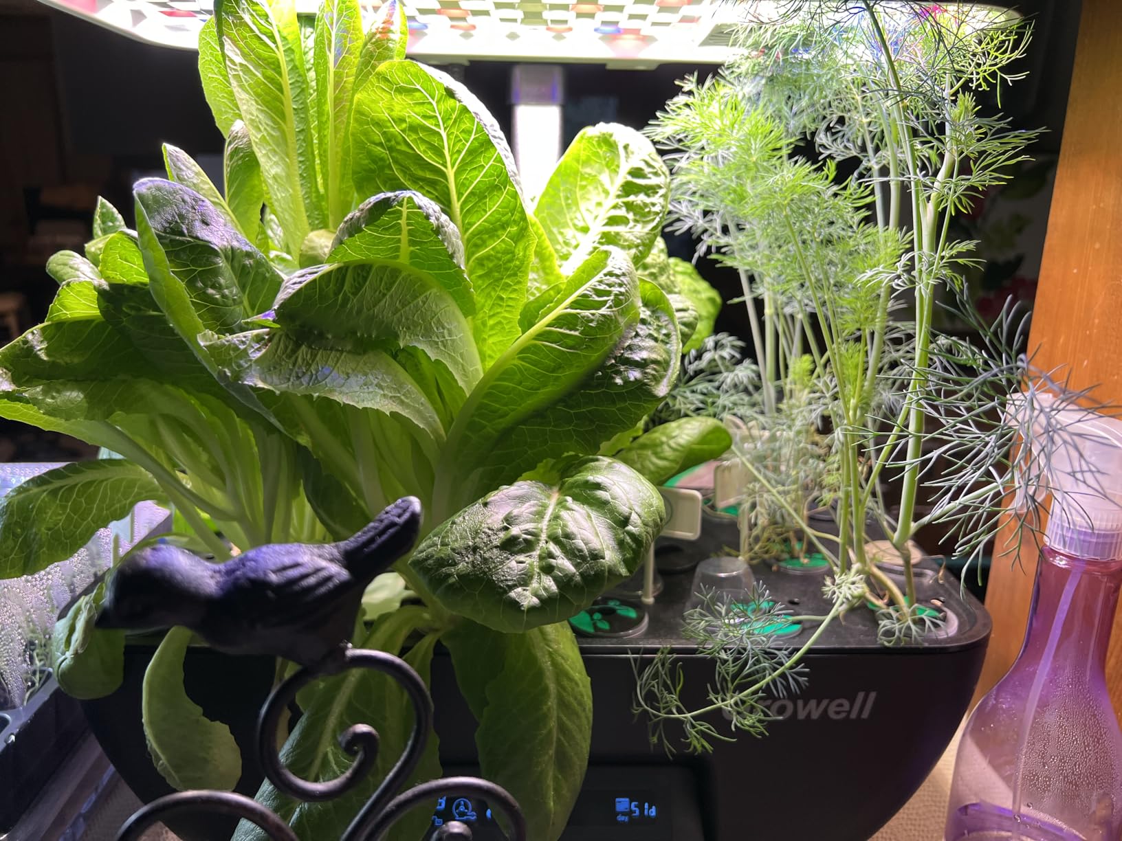 Hydroponics Growing System Kit, 17 Pods Herb Garden with 102 28W Full-Spectrum Grow Lights & 2 Fans, Indoor Garden with Water Pump, 10L Water Tank, Auto Timer, Height Adjustable customer photo 1