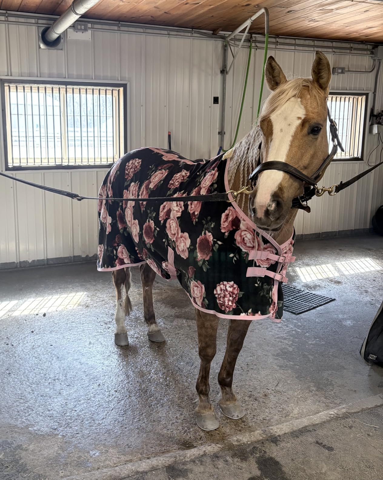 Jeffers Elite Fleece Cooler Blanket for Horses, 78