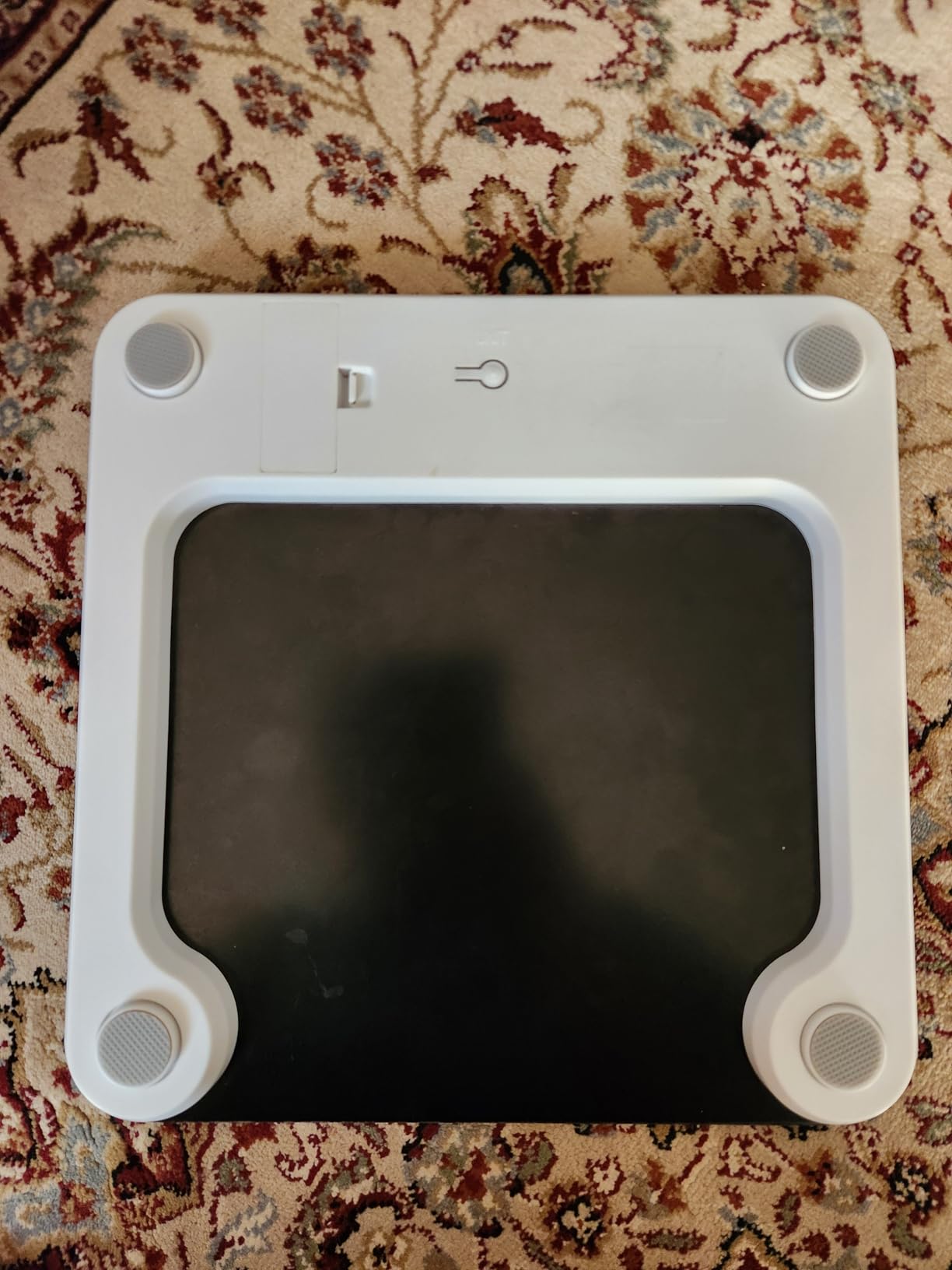 RENPHO 550lb Scale for Body Weight, Digital Bathroom Scale with Large LED Display, Big Platform Weighing Machine with Extra-High Capacity, Most Accurate to 0.05lb, 13x11.8in, Core 1L customer photo 1