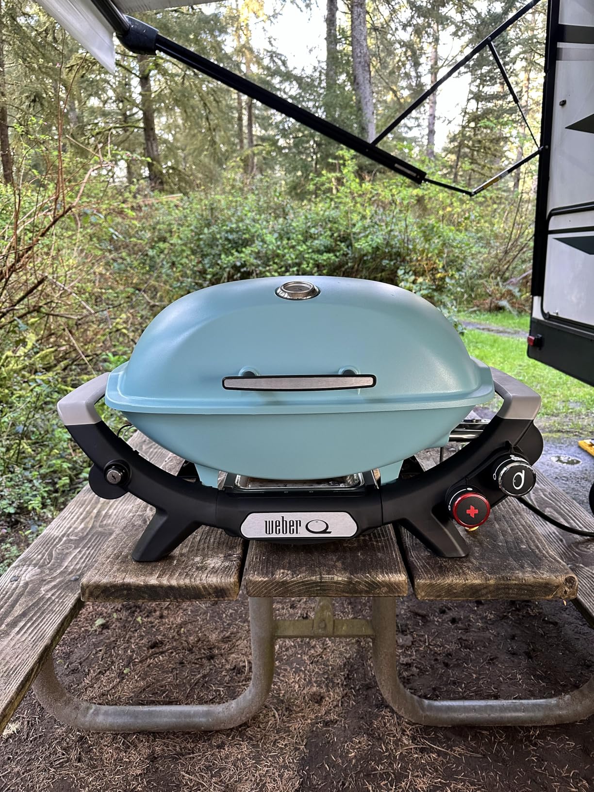 Weber Q 2800N+ Liquid Propane Portable Grill, Flame Red - Wide 250-700F Temp Range with Plus Burner for Searing, Low-Temp Roasting & High-Dome Lid for Travel & Camping customer photo 1