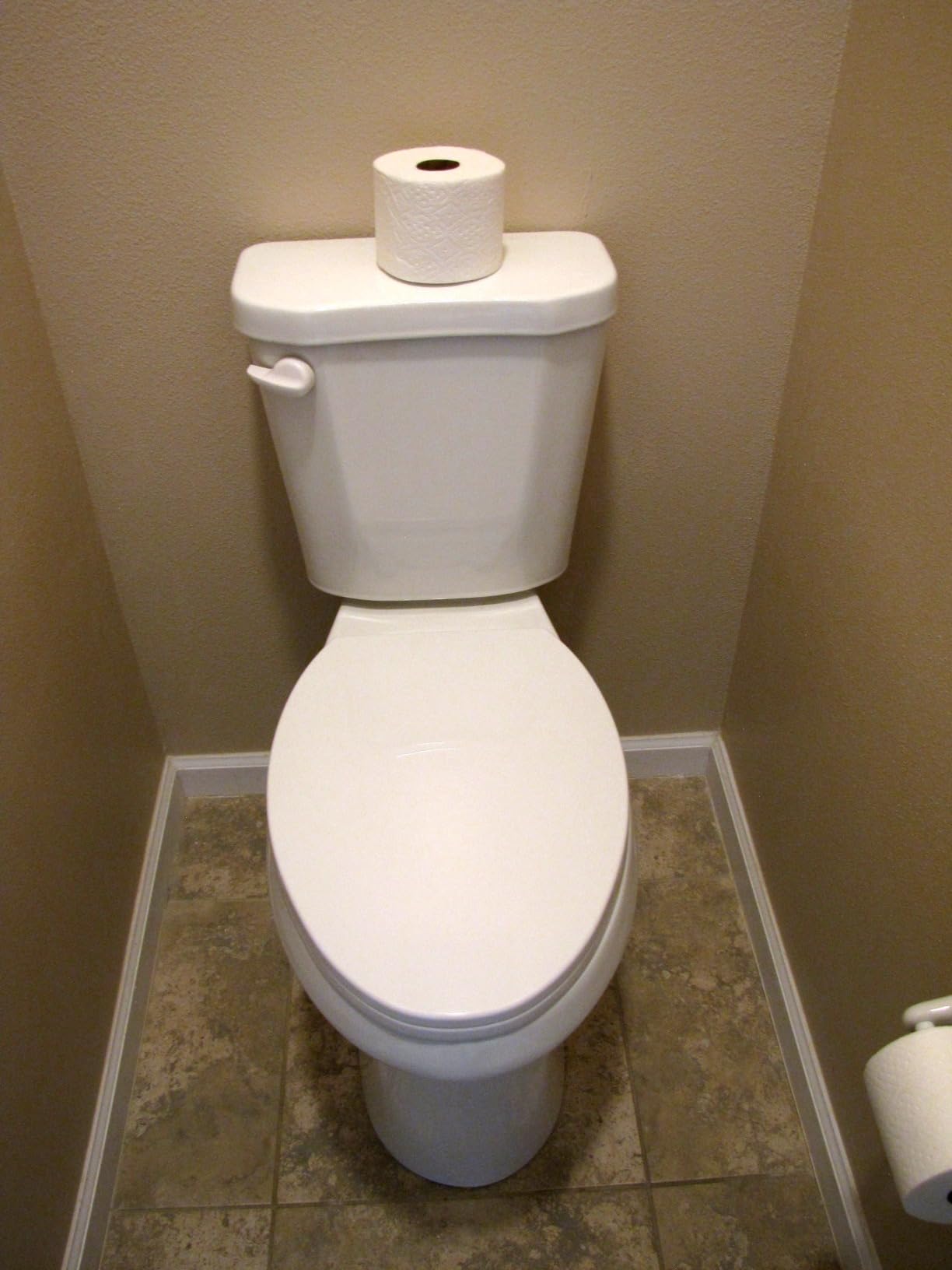 Simple Project 21 Inch High Toilet Elongated With Comfort Chair Seat, 1.28 Gpf Powerful Single Flush Extra Tall Toilet, 12 Inch Rough In Bathrooms Comfort Height Toilet for Seniors & Tall Person customer photo 2