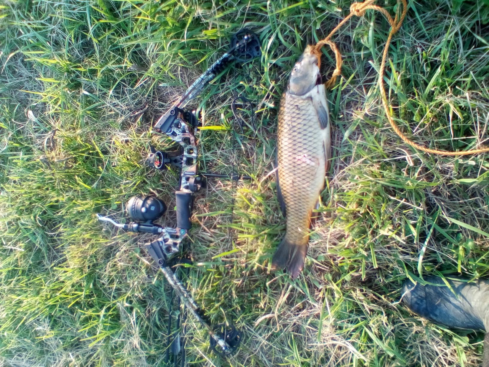 Compound Bow Fishing Combo Kit 20-70 LBS Hunting Bow with Bowfishing Arrow and Fishing Reel for Bowfishing Archery Hunting, Complete Compound Bow Fishing Kit customer photo 1