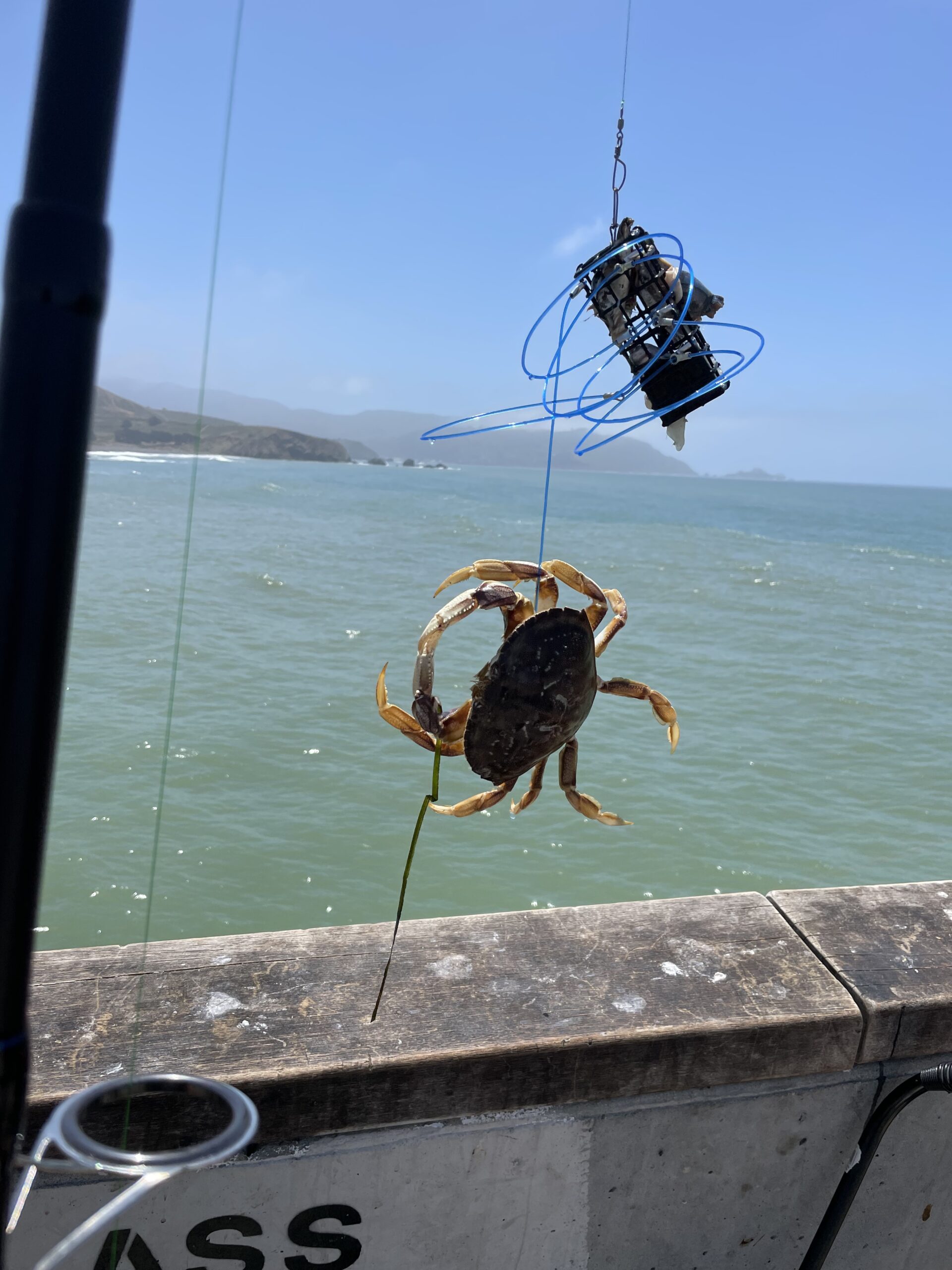 AirFly Castable Crab Trap for Pier, Jetty & Surf - 6-Loop Fishing Pole Crab Trap | Dungeness, Blue & Rock Crabs | Lead-Free | CA, OR, WA, MD & FL, Made in USA (4 Traps + Gauge Kit) customer photo 1