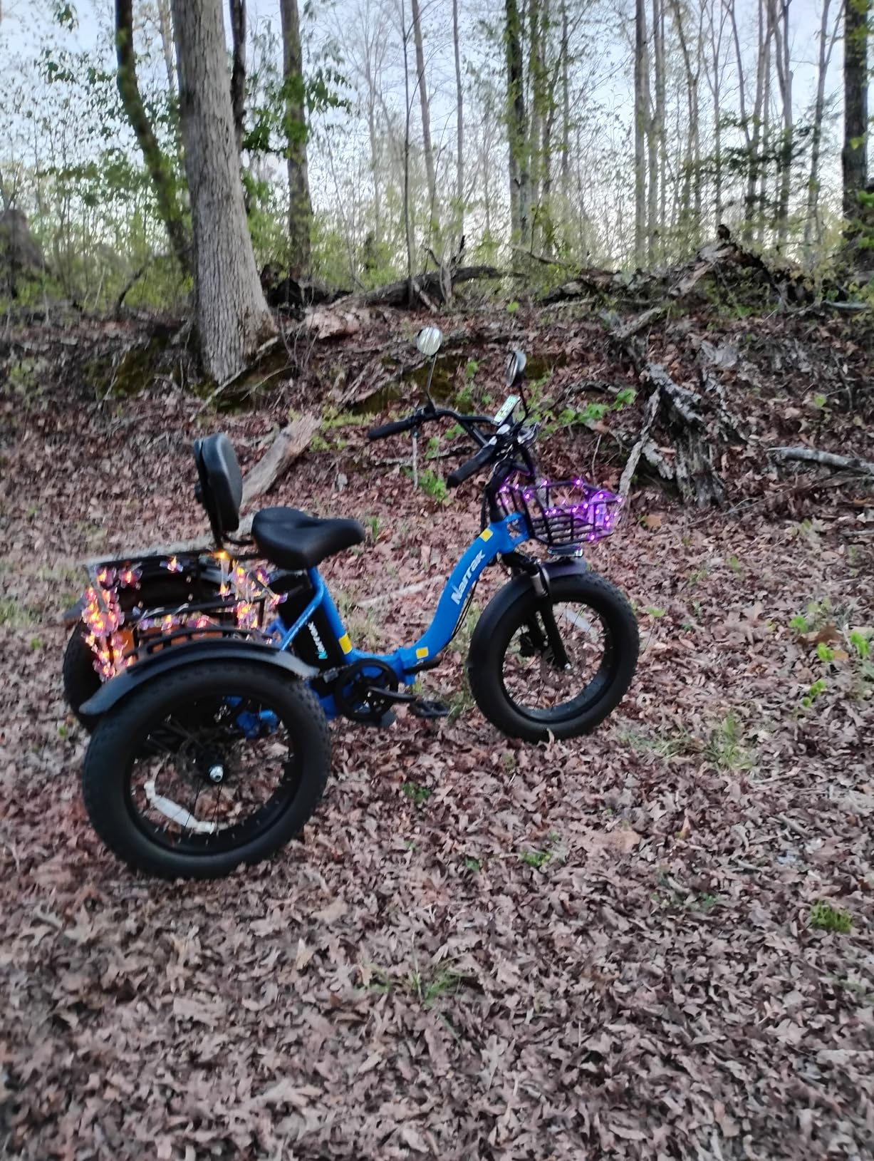 NARRAK Electric Tricycle for Adults, Fat Tire Folding Electric Trike, Peak 1350W Step-Thru Etrike with Removable Battery and Large Basket customer photo 1