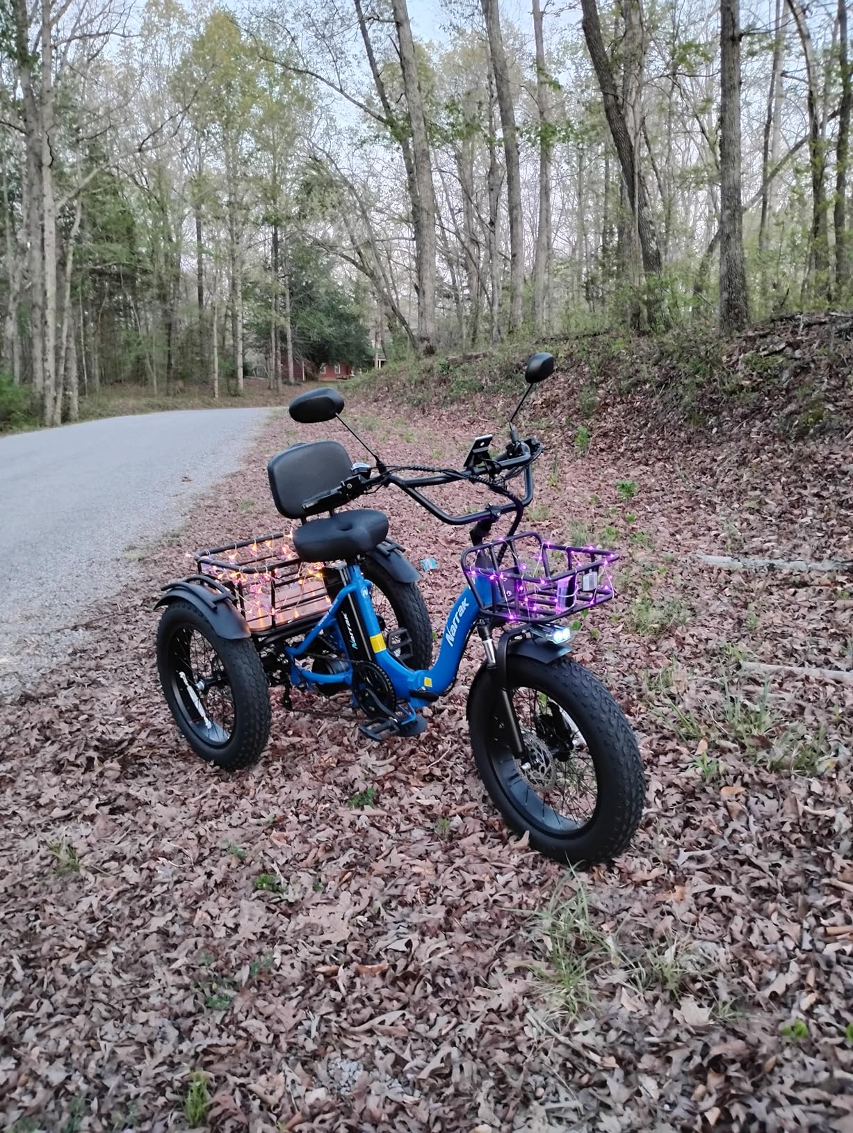 NARRAK Electric Tricycle for Adults, Fat Tire Folding Electric Trike, Peak 1350W Step-Thru Etrike with Removable Battery and Large Basket customer photo 2