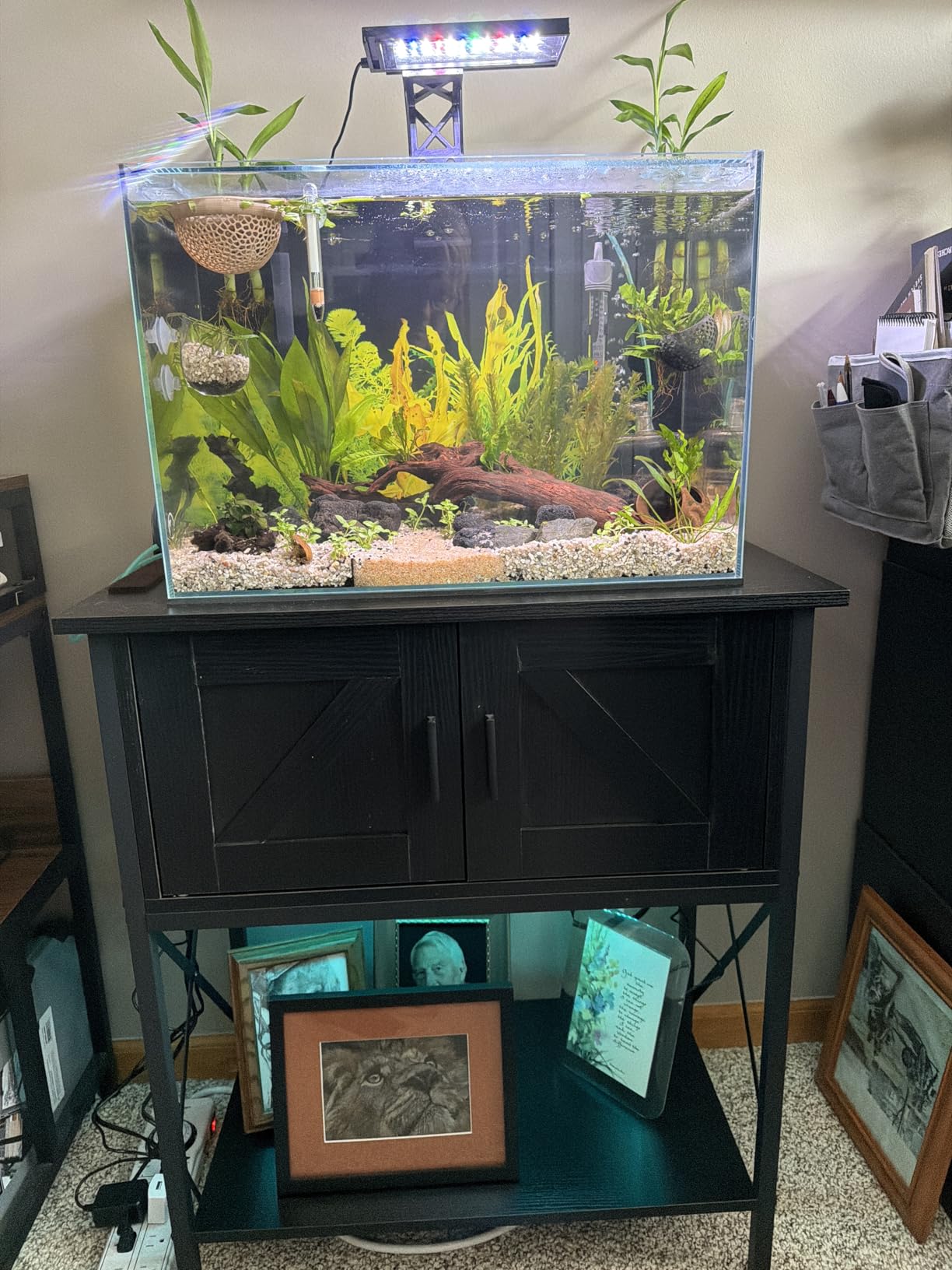 HOOBRO 20 Gallon Fish Tank Stand with Power Outlets and LED Light, Metal Frame Aquarium Stand, Reptile, Turtle Tank Stand with Cabinet Storage, 27.6'' L x 15.7'' W, 300 LBS Capacity, Black BB40UDFT01 customer photo 2