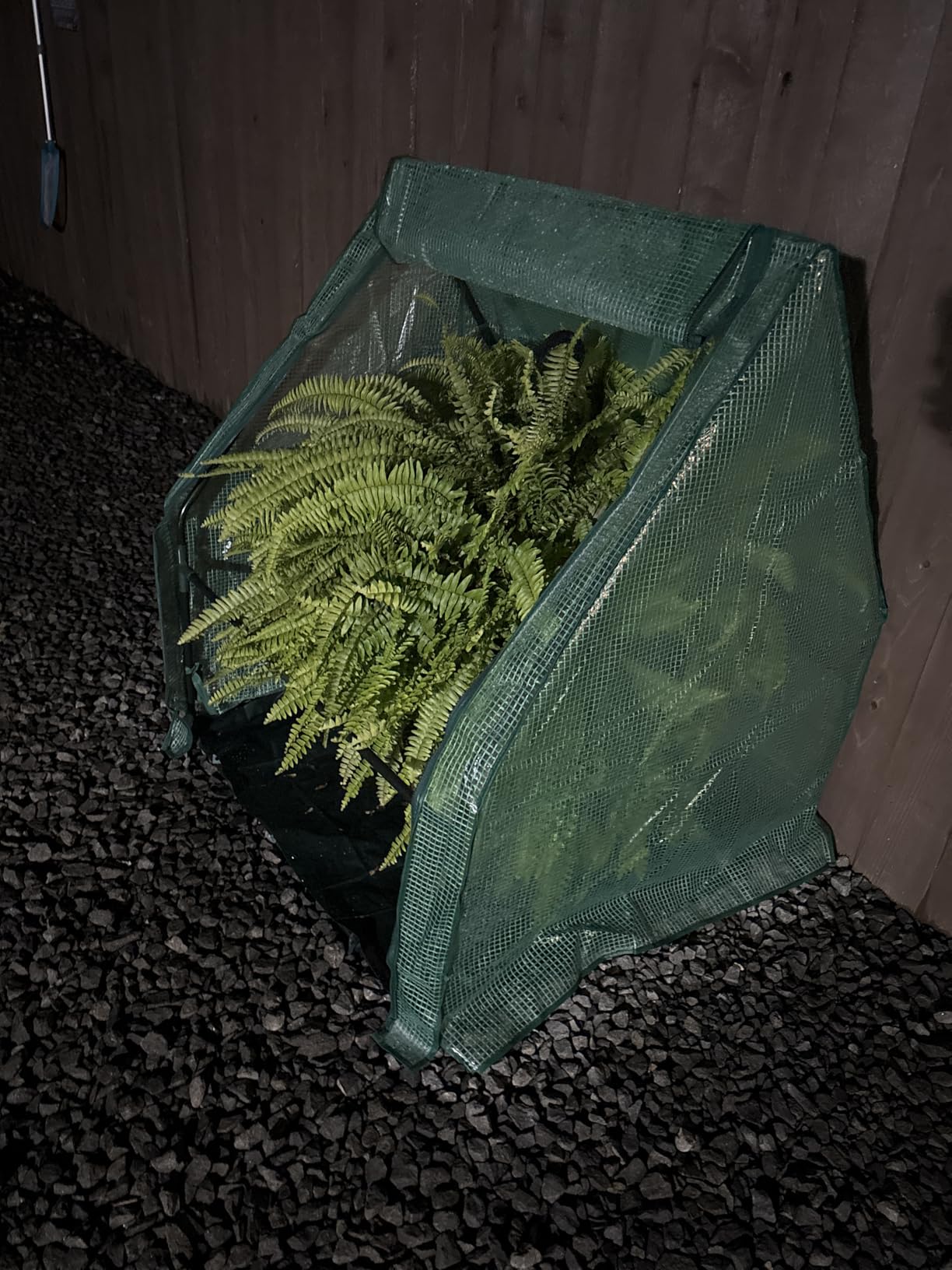 U'Artlines Portable Mini Greenhouse Small Green House with Waterproof Pad 36x18x33 Inch Plant Cover Tent for Garden Small Plants Indoor Outdoor, Green PE customer photo 1