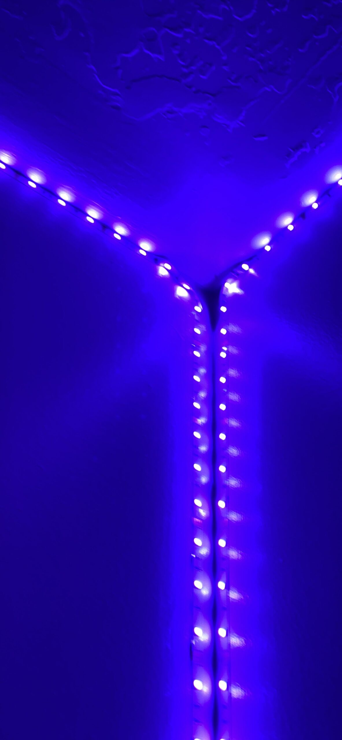 DAYBETTER 100ft Smart IC WiFi LED Strip Lights, Work with Alexa and Google Assistant, BGRIC LED Lights App Control Segmented DIY Multiple Colors, Color Changing Music Sync for Bedroom Decor (1 Roll) customer photo 1