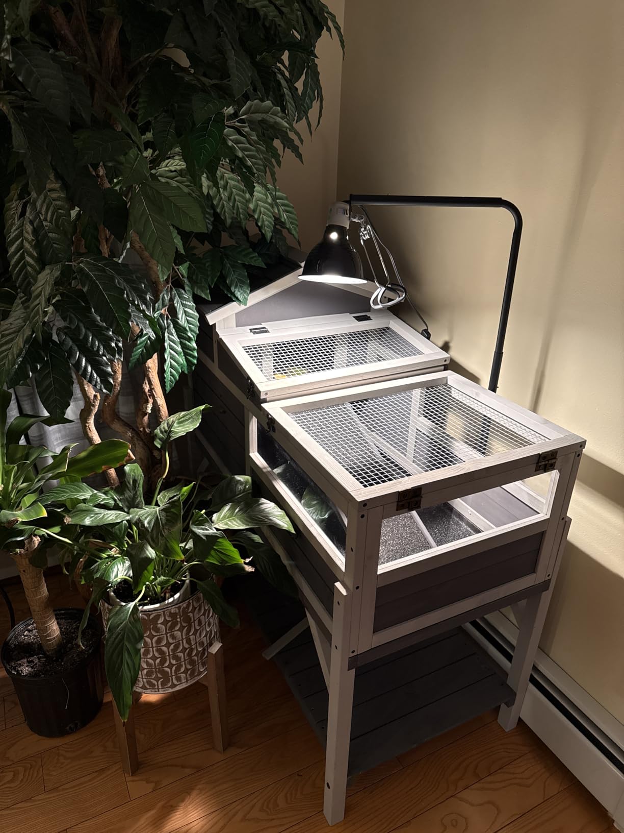 GEGURI Tortoise Habitat House Indoor Outdoor, 3-Room Wooden Turtle Enclosure Reptile Cage with Shelf Storage, Balcony & 2 Stories for Small Animals customer photo 2