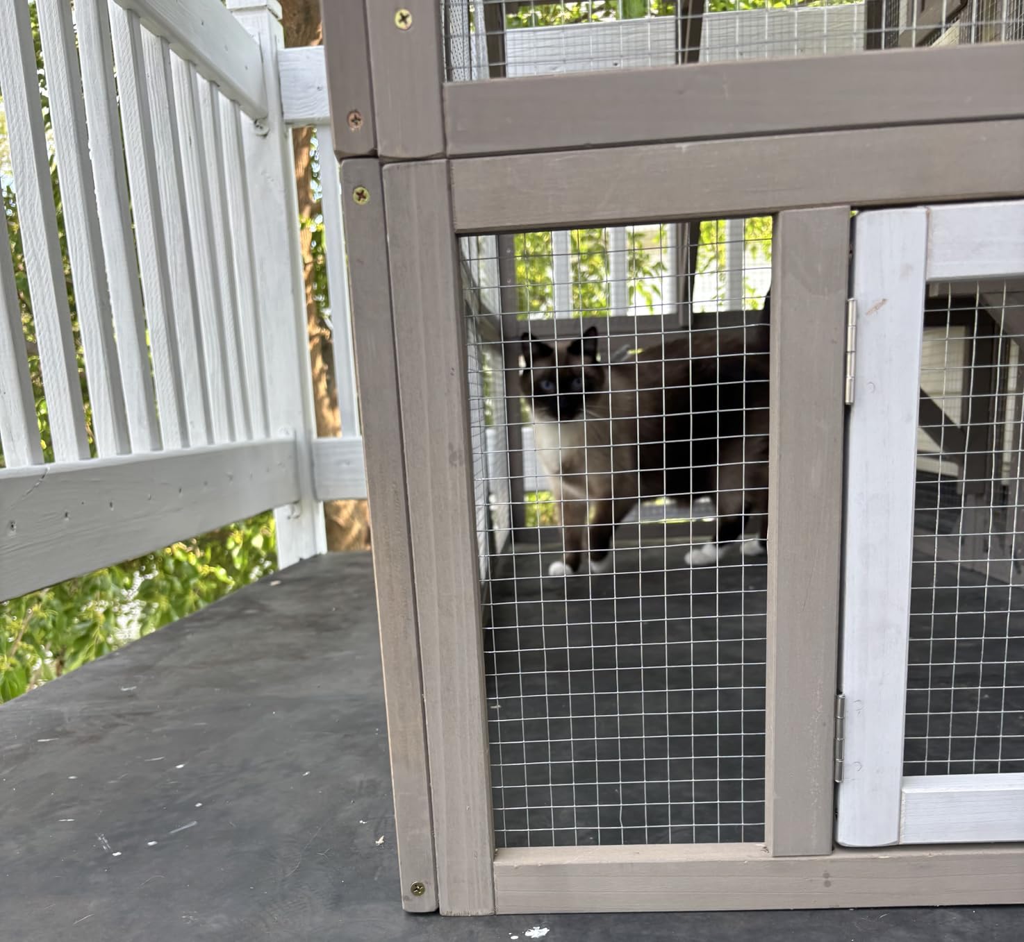 Ketive Catio Outdoor Cat Enclosure Large Window Cat House Walk in Kitty Cage with Multi-Level Platforms, Waterproof Roof for Multiple Cats (59