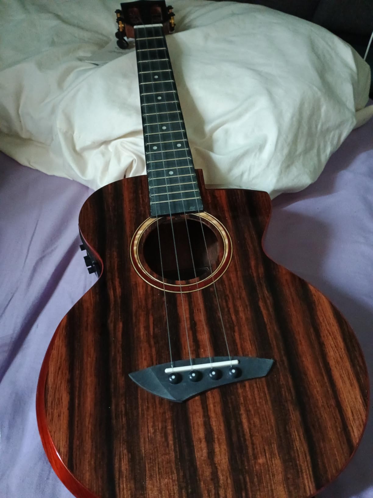 Caramel TEG91 Cutaway Ebony Glossy Tenor Acoustic & Electric Ukulele with Armrest | 26-inch Handmade Professional Ukelele Kit with Accessories customer photo 2