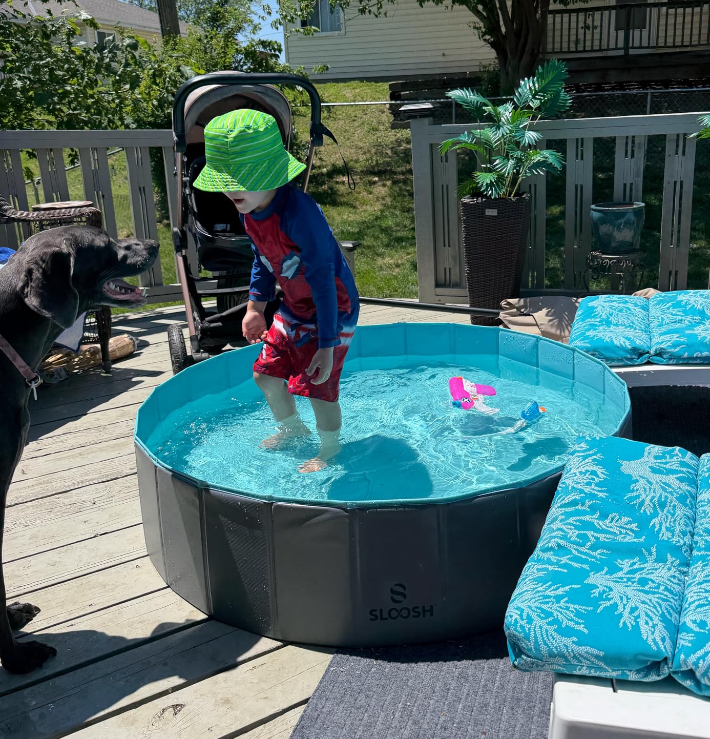 SLOOSH Foldable Dog Kiddie Pool - Portable Hard Plastic Doggie Swimming Pool, Anti-Slip Collapsible Pets Bath Tub Suitable for Kids Indoor Outdoor Backyard Use (Blue, 48