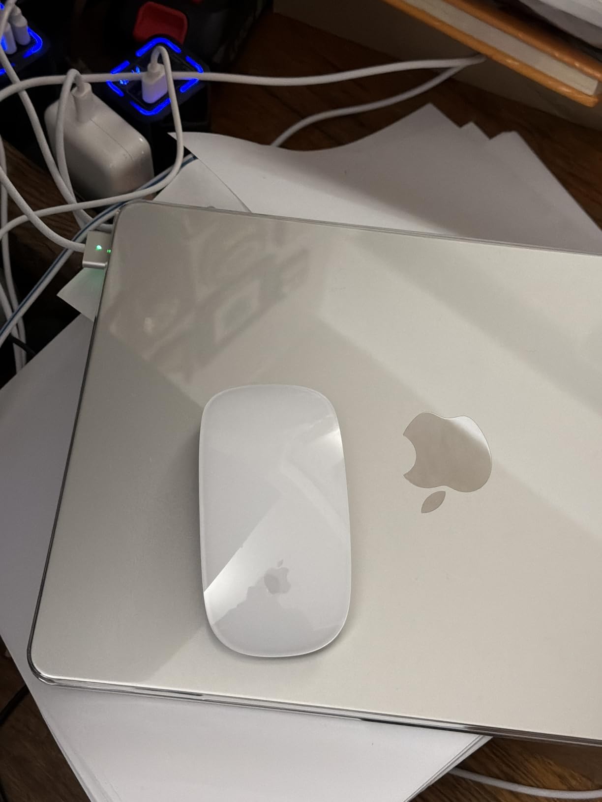 Apple Magic Mouse - White Multi-Touch Surface customer photo 1