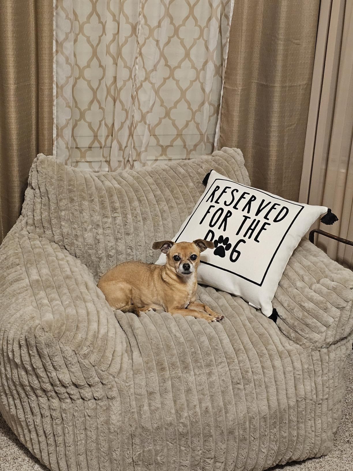 Giant Plush Bean Bag Chair for Adults with Armrests - Oversized Comfy Beige Beanbag Lounge Lazy Floor Sofa Accent Chair for Living Room, Bedroom & Dorm, Cozy Fluffy Single Cloud Mini Couch customer photo 2
