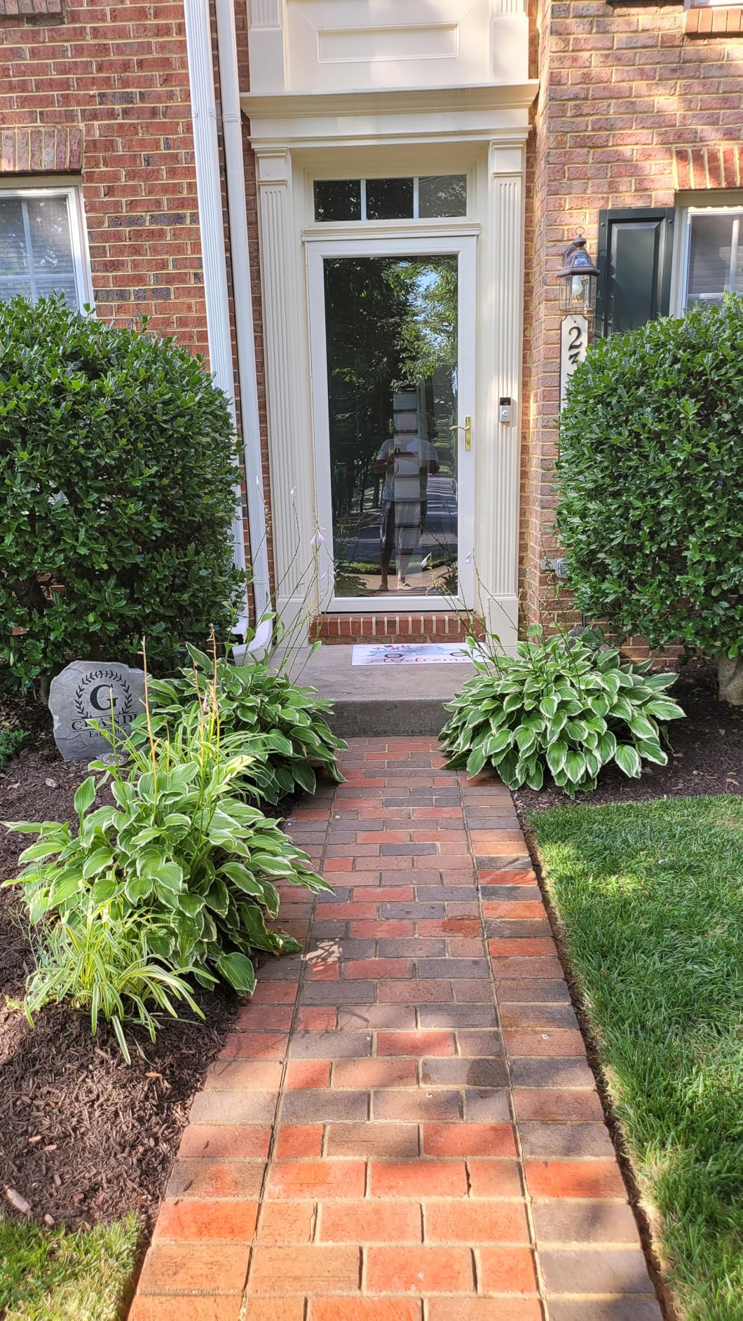 WORX Trivac 3 in 1 Electric Leaf Blower for Lawn Care, Leaf Vacuum with 350 CFM & 210 MPH, Leaf Mulcher with Metal Impeller, Reusable Bag Included, WG505.2 customer photo 1