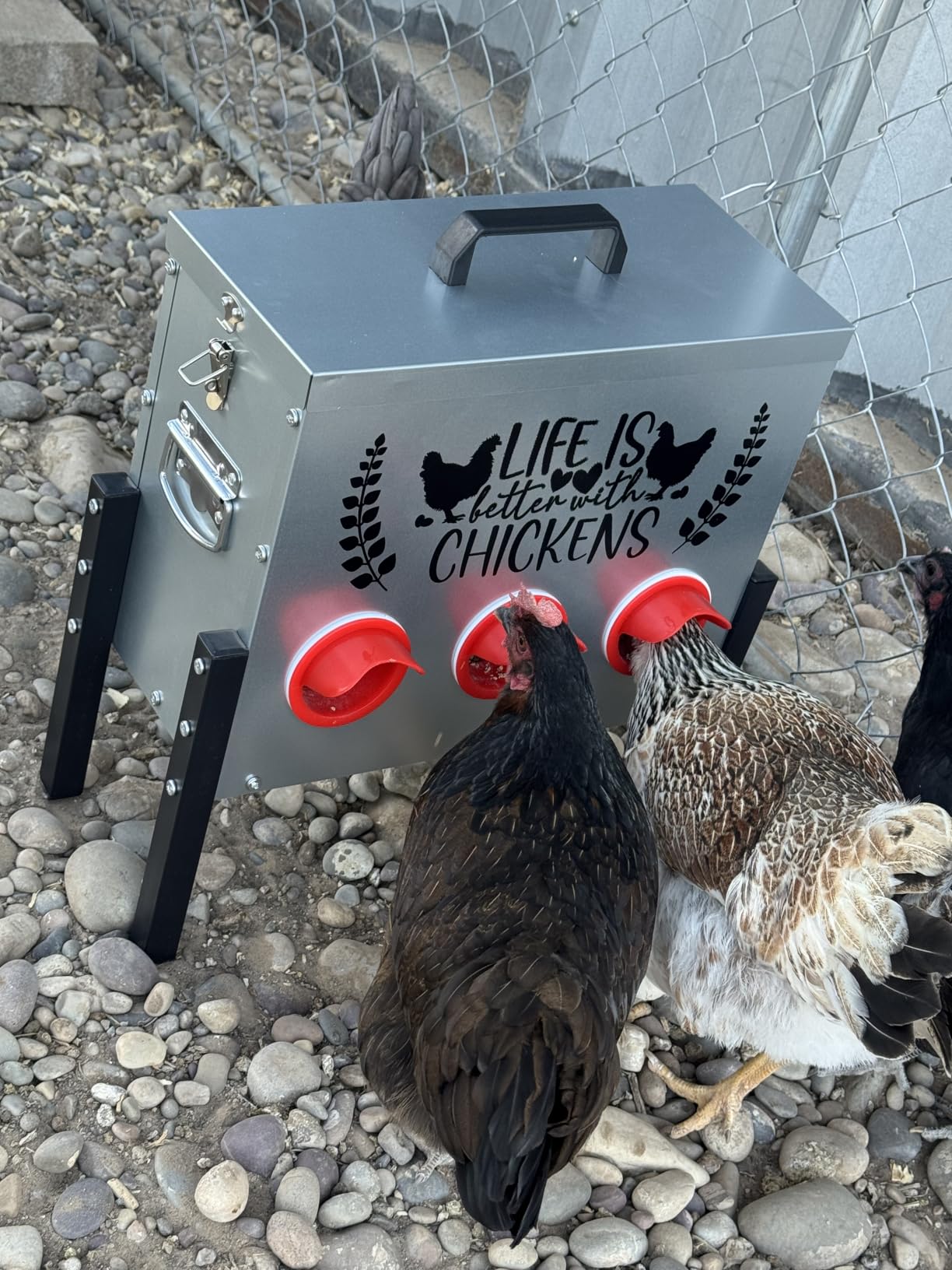 TGEYD 30 lb Chicken Feeder with 6 No-Waste Ports - Heavy-Duty Outdoor Metal Feeder with Adjustable Height, Locking Lid & Riveted Handles - Rustproof Feed Box for Poultry & Backyard Chickens customer photo 1