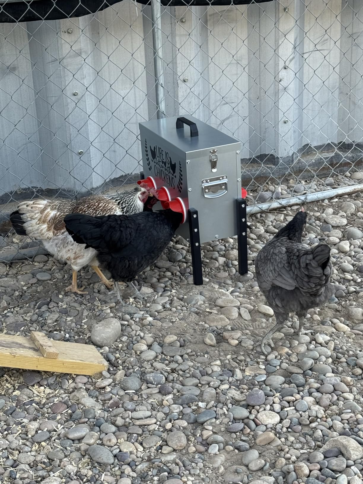 TGEYD 30 lb Chicken Feeder with 6 No-Waste Ports - Heavy-Duty Outdoor Metal Feeder with Adjustable Height, Locking Lid & Riveted Handles - Rustproof Feed Box for Poultry & Backyard Chickens customer photo 2