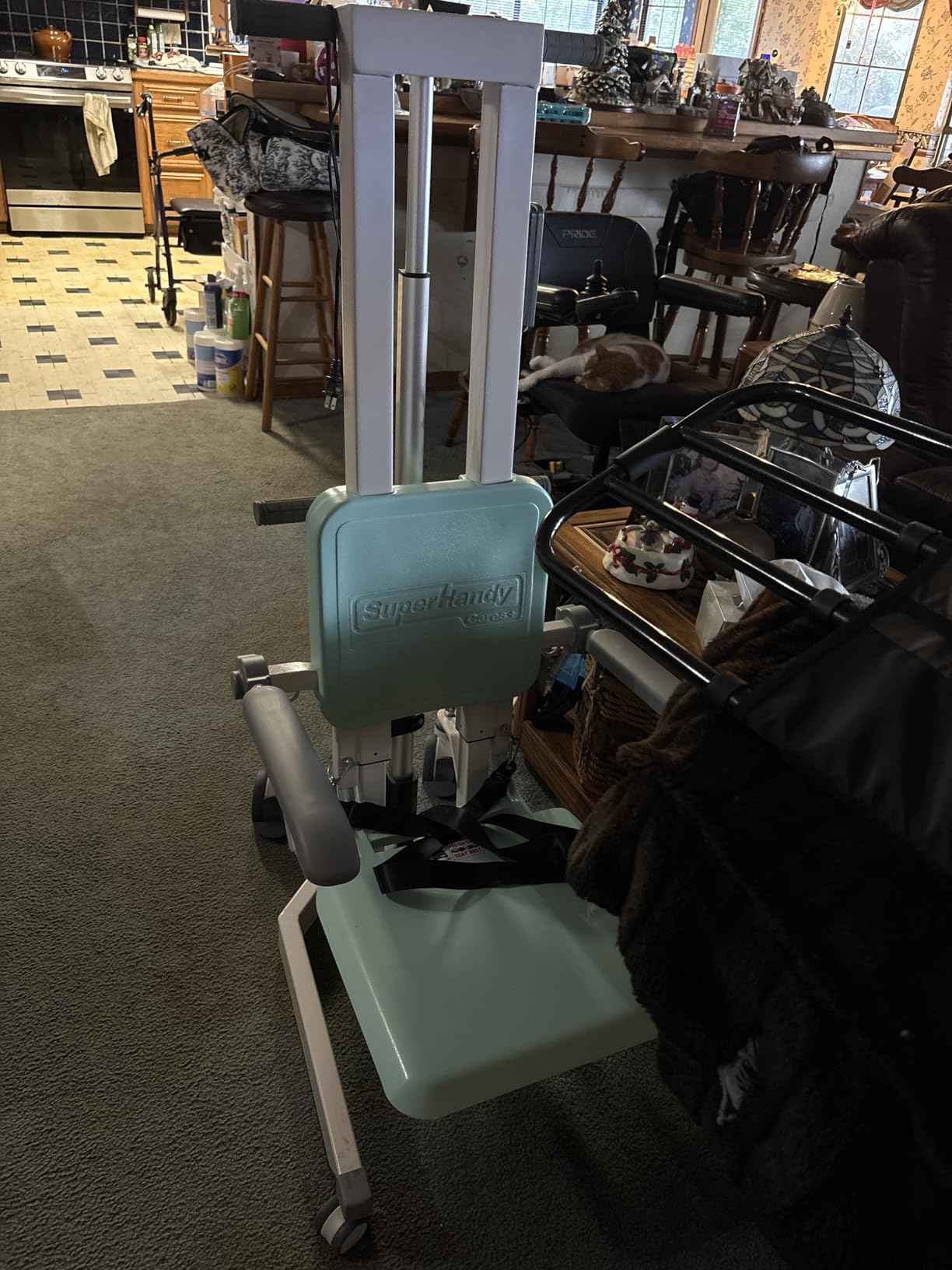SuperHandy GoRise Electric Floor to Stand Lift - Support Up to 500 Lbs, Floor Lift Chair for Elderly, Patent Pending customer photo 1