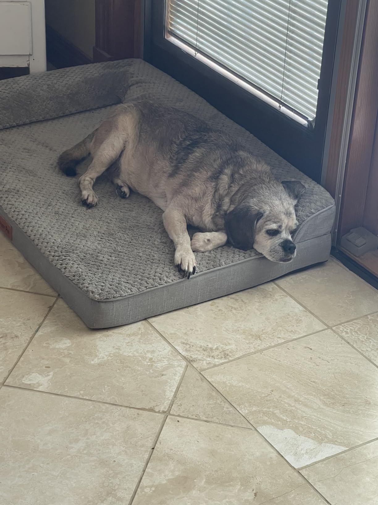 Rainmr Orthopedic Dog Bed for Small and Medium Dogs, Memory Foam Pet Bed with Washable Removable Cover, Nonskid Bottom, Waterproof, for Indoor Outdoor Crate & Car Use, 30x20x6 Inches Light Grey customer photo 1