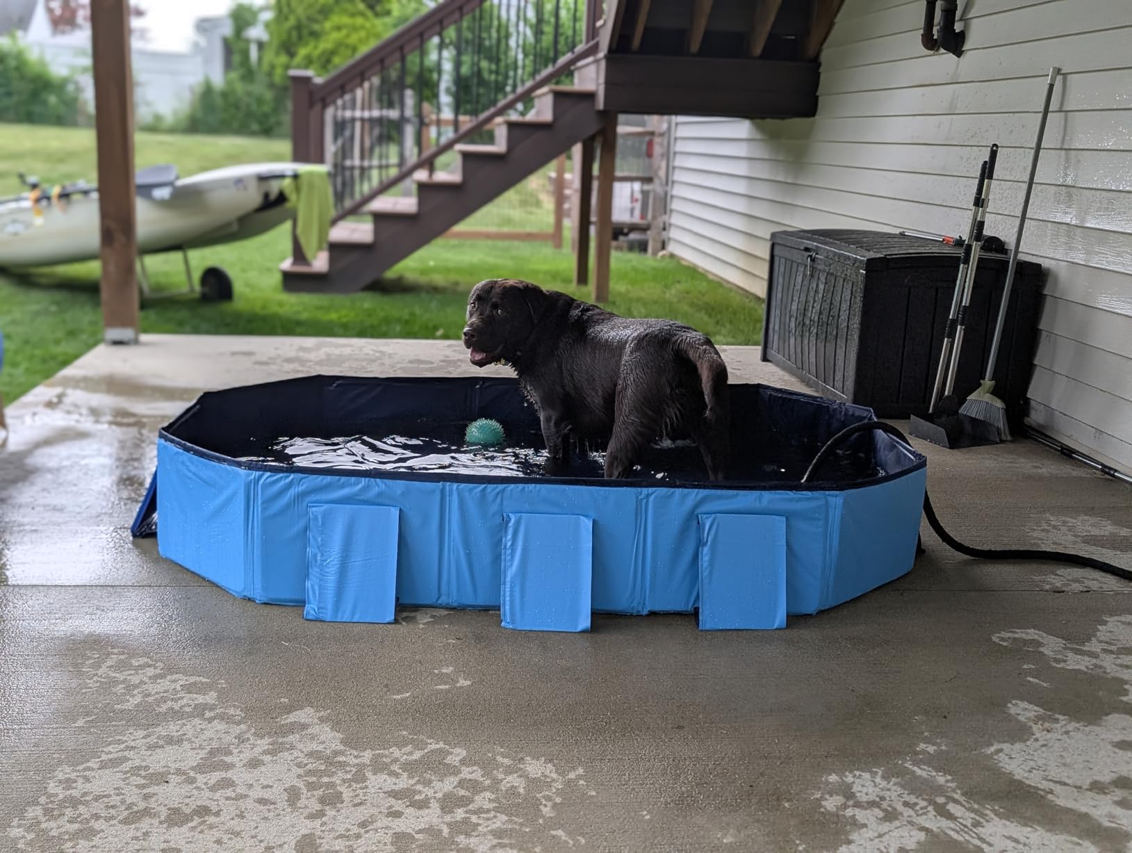 Peteast Foldable Dog Pool - Extra Large 71