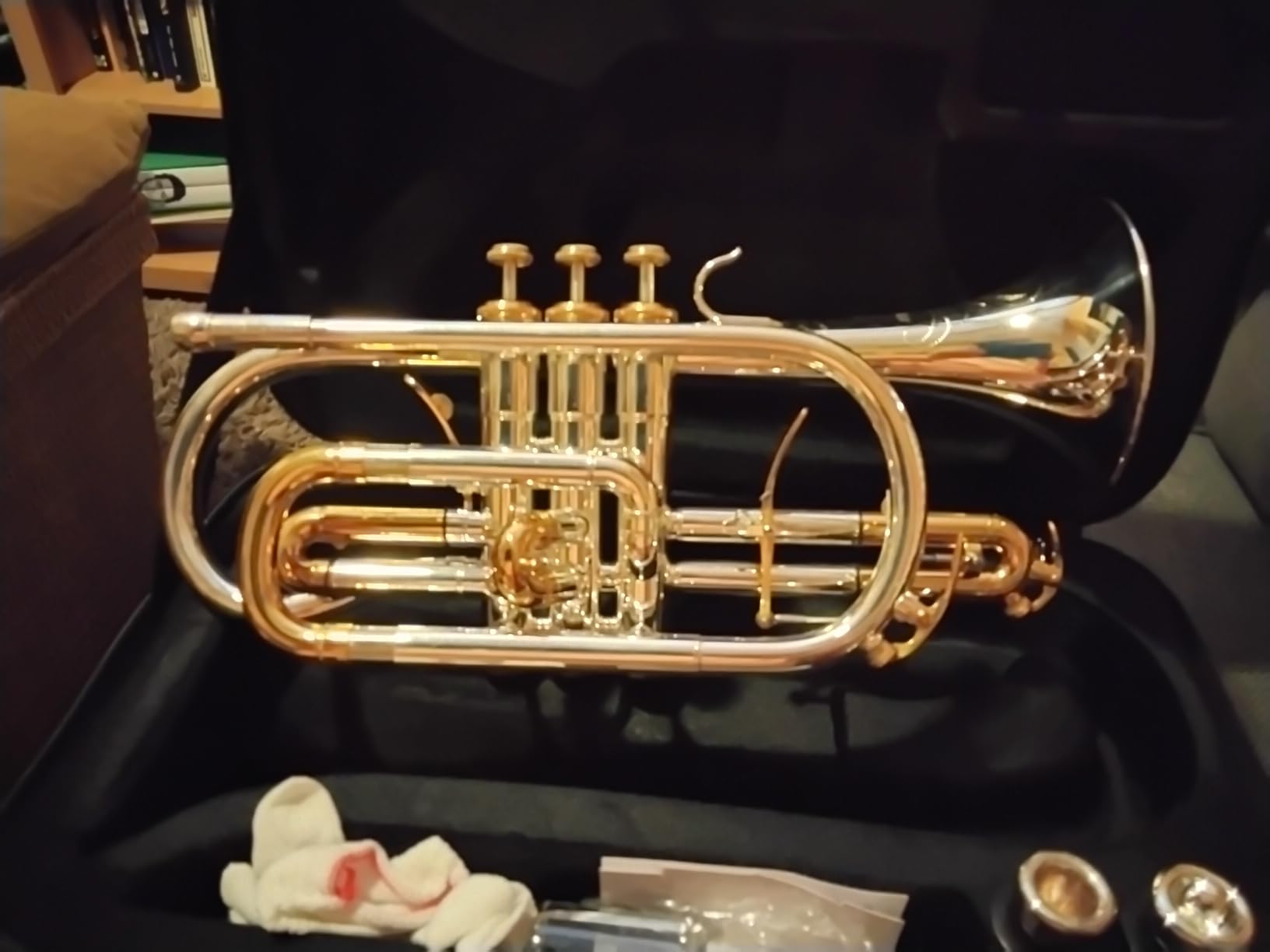 aurousus bb cornet acr 8330 for beginners intermediate players stainless steel valves ml bore gold brass leadpipe 120mm bell lacquered lightweight durable customer photo 2