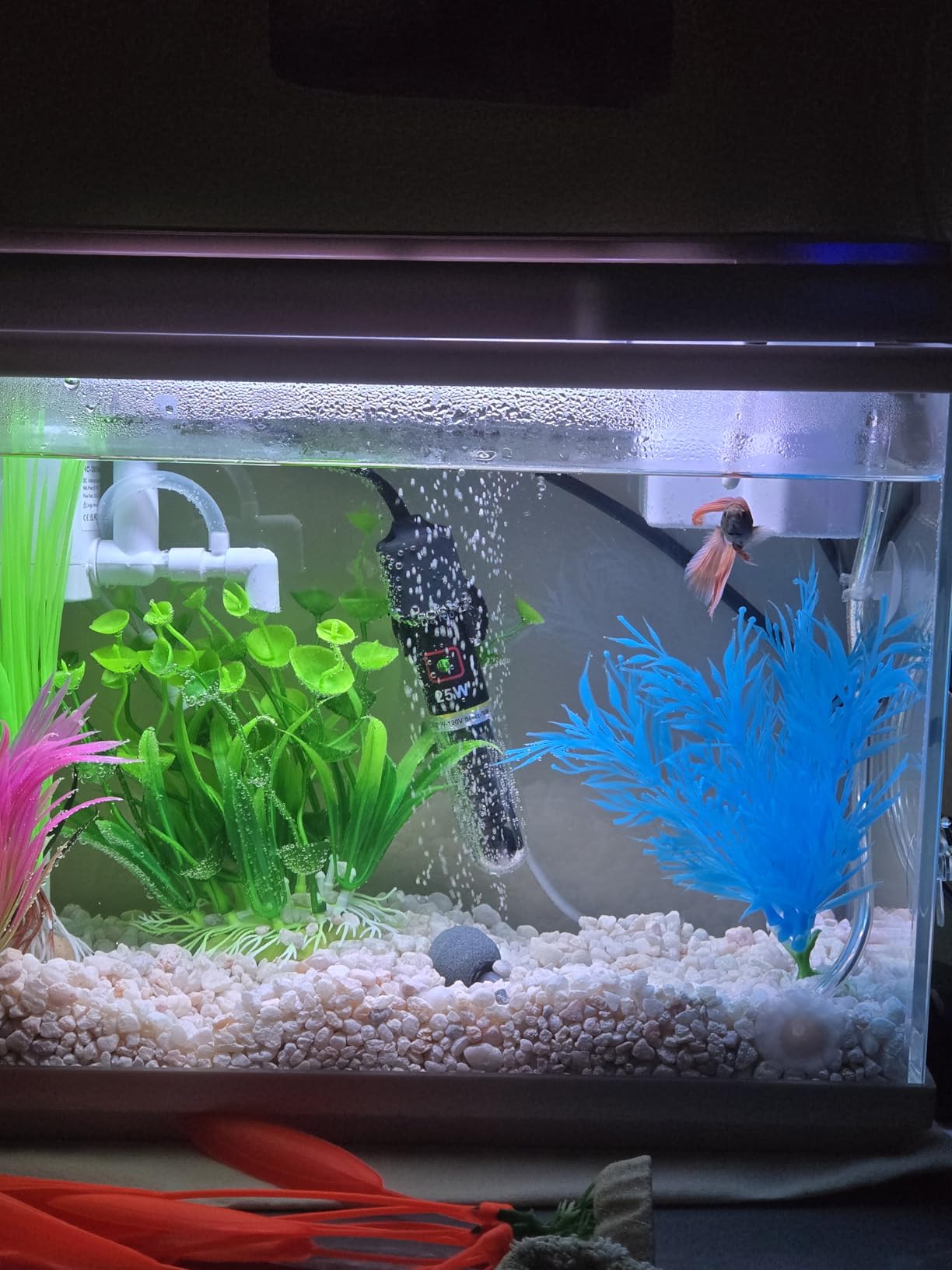 Vehipa Fish Tank, 2.4 Gallon Fish Aquarium, Fish Tank Starter kit with Smart Humidifier, Temperature Display, 7-Color Lighting, 3 in 1 Quiet Pump with Filteration & Oxygenation & Circulation customer photo 2