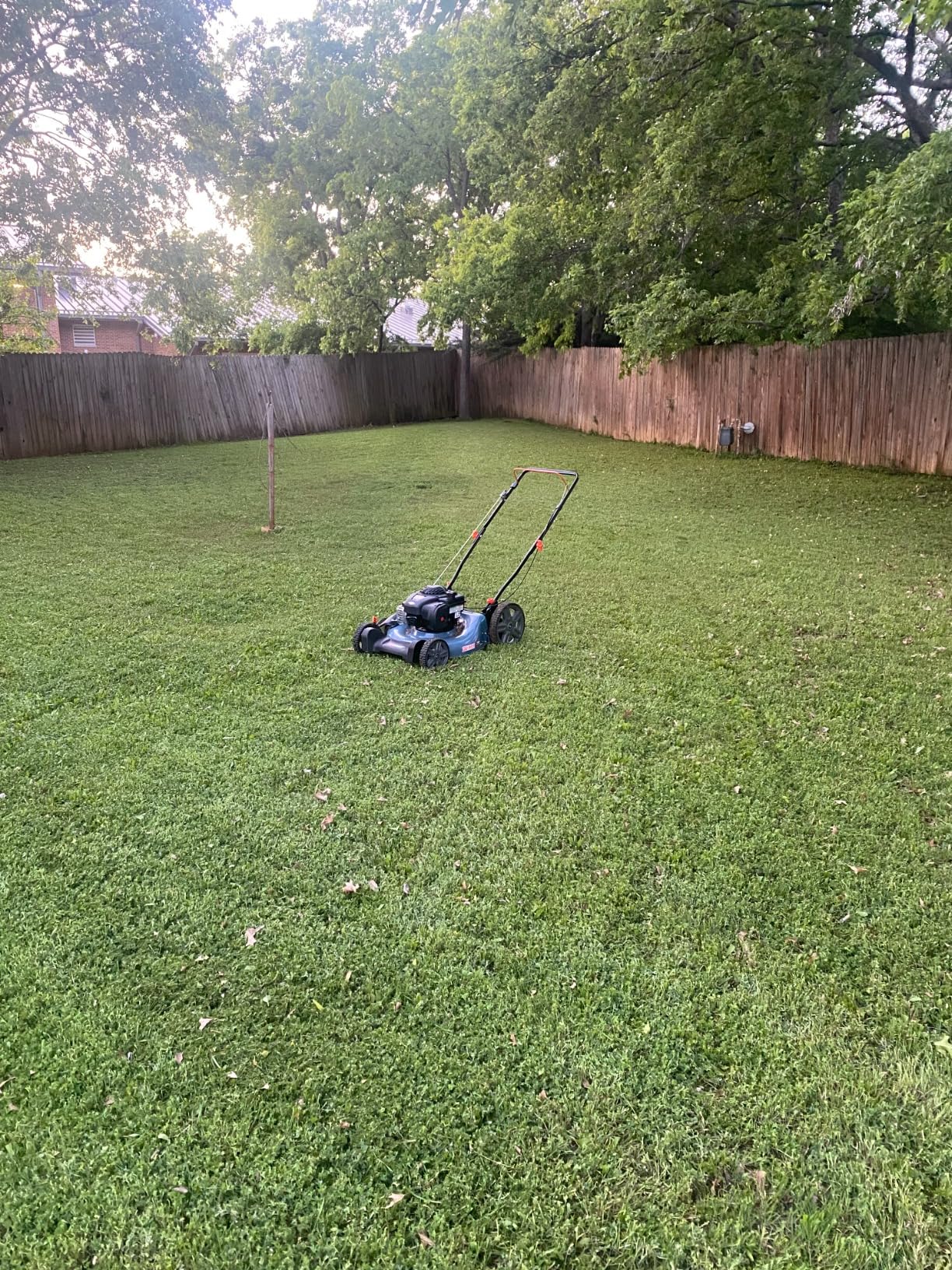 SENIX 144 cc Gas Lawn Mower, 21 inch 2-in-1 Push with Mulching and Side Discharge, 4-Cycle Engine, 6 Position Cutting Height Adjustment for Yard and Garden customer photo 2