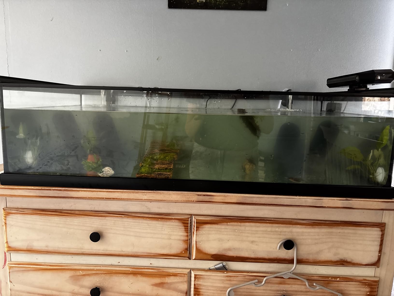 AQUASMITH Aquarium Chiller Fan,Fish Tank Cooler with Temperature Control,Minimum Setting 59°F,Auto Start/Stop,Refrigeration Effect 3-7°F,3-Speed Modes,for Axolotl Seawater Freshwater Coral Grass Tank customer photo 2