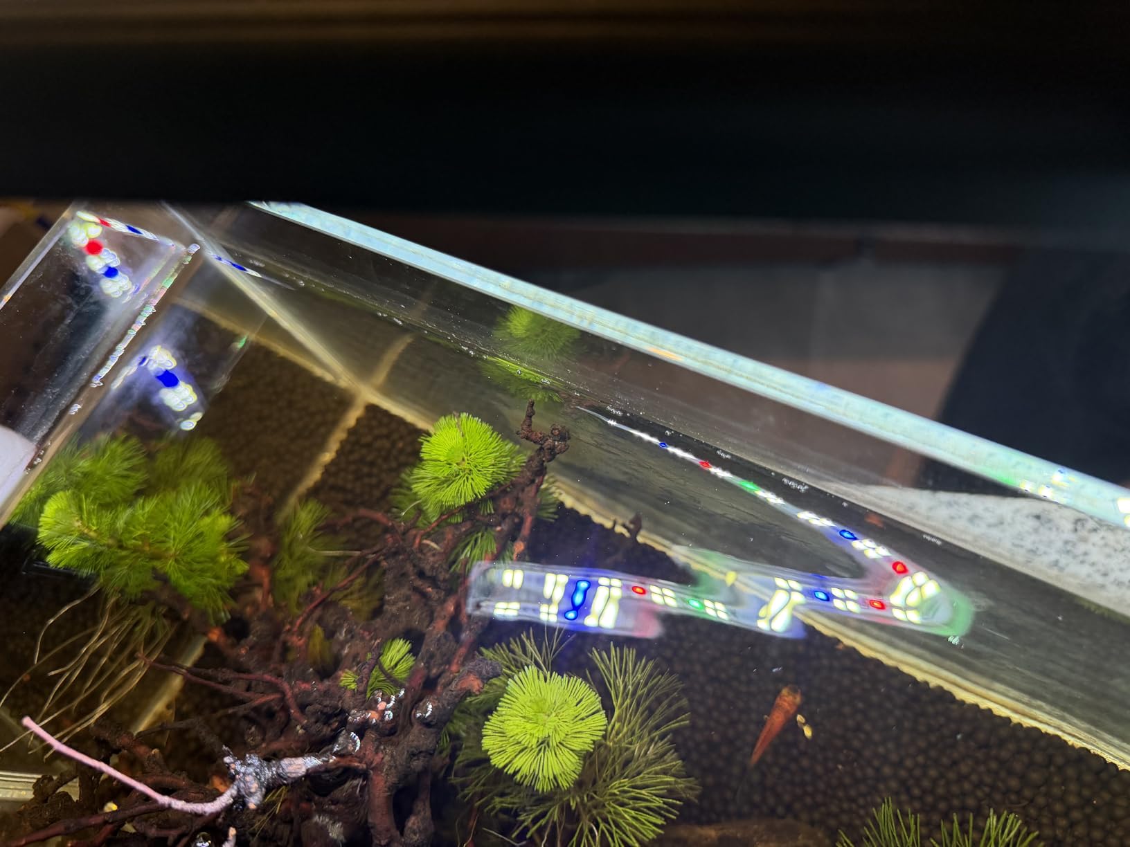 Nano Desktop Betta Aquarium 2.7 Gallon Glass Fish Tank Set, Hidden Bottom Filtration System Self Cleaning Filter Light Gravel Plant Cleaning Tool, for Small Space Easy Setup Space-Saving Design customer photo 2