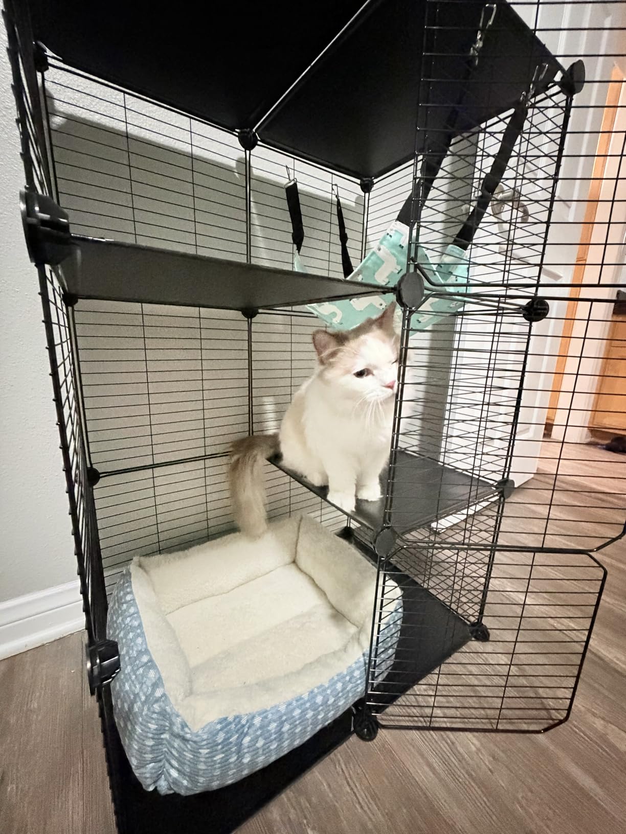 VISCOO Cat Cage, 4-Tier DIY Cat Enclosures Catio, Cat Playpen Indoor & Outdoor with Hammock, Detachable Metal Wire Kennel Cats Crate, 2x2x4 Exercise Place for 1-3 Cats/Kitten customer photo 1