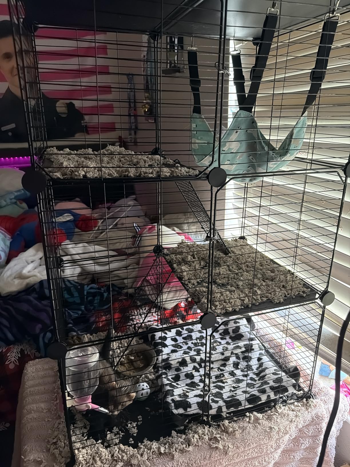 VISCOO Cat Cage, 4-Tier DIY Cat Enclosures Catio, Cat Playpen Indoor & Outdoor with Hammock, Detachable Metal Wire Kennel Cats Crate, 2x2x4 Exercise Place for 1-3 Cats/Kitten customer photo 2
