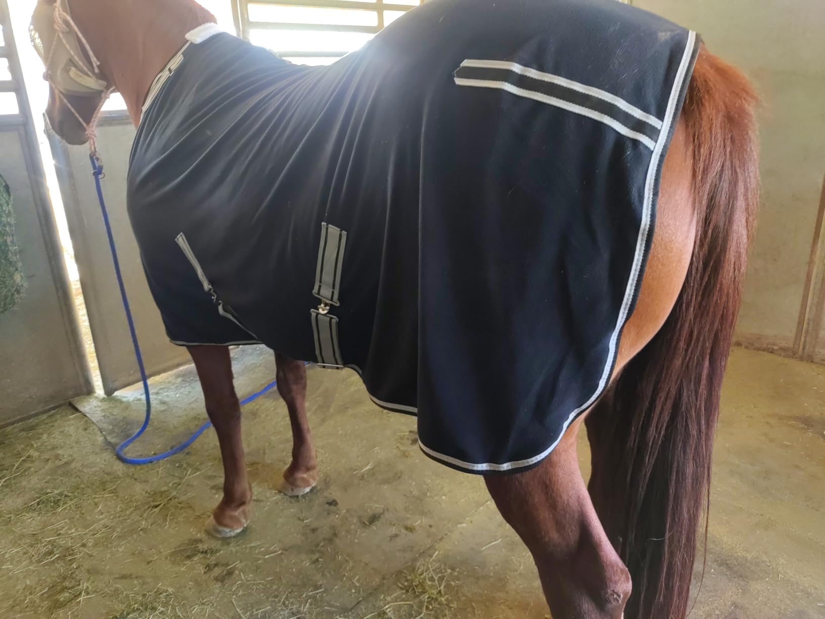 Horse Fleece Cooler, Blanket Liner - 300g Anti-Pilling Fleece, Moisture-Wicking, Cooling & Drying for Post-Workout, Bath & Travel, Prevent Overheating & Chilling Navy 72 customer photo 1