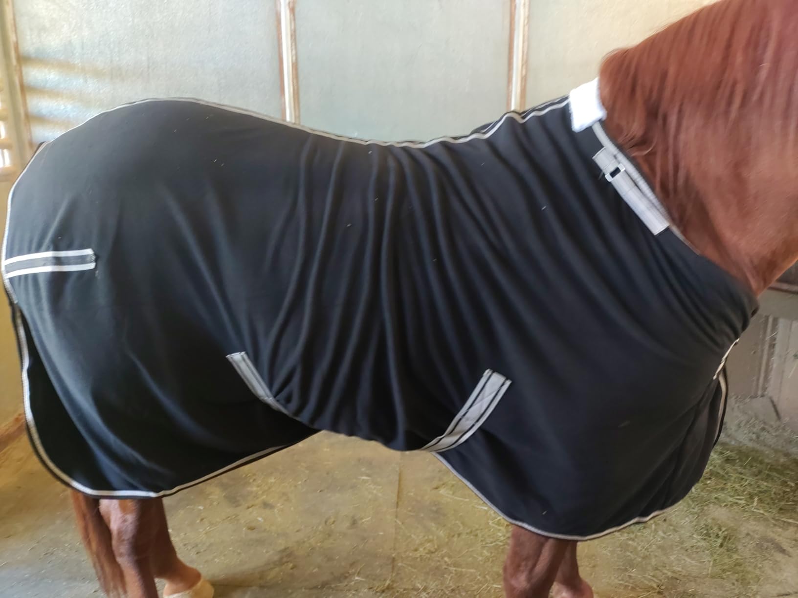 Horse Fleece Cooler, Blanket Liner - 300g Anti-Pilling Fleece, Moisture-Wicking, Cooling & Drying for Post-Workout, Bath & Travel, Prevent Overheating & Chilling Navy 72 customer photo 2