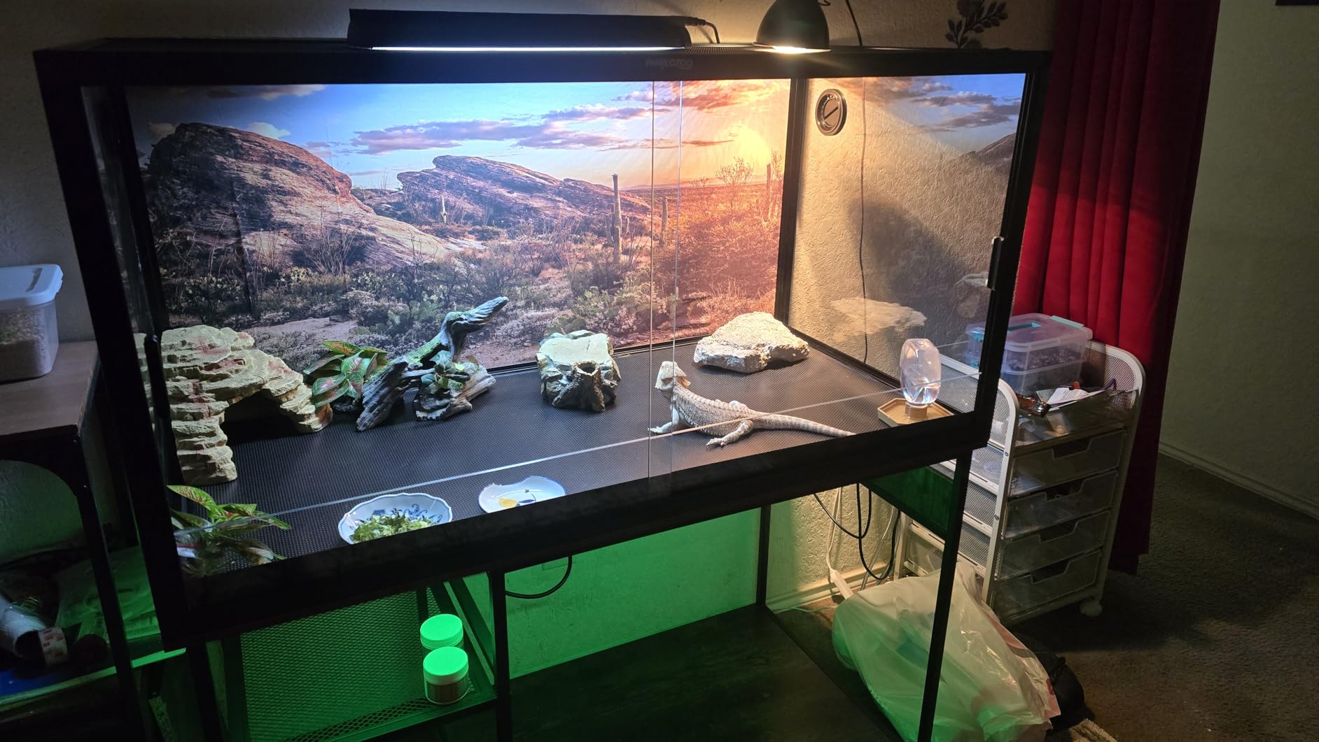 120 Gallon Fish Tank Stand with Power Outlets, Heavy Duty Large Aquarium Stand with Light, Double Reptile Tank Turtle Terrariums Table for Fish Tank Accessories Storage,1100LBS Capacity customer photo 2