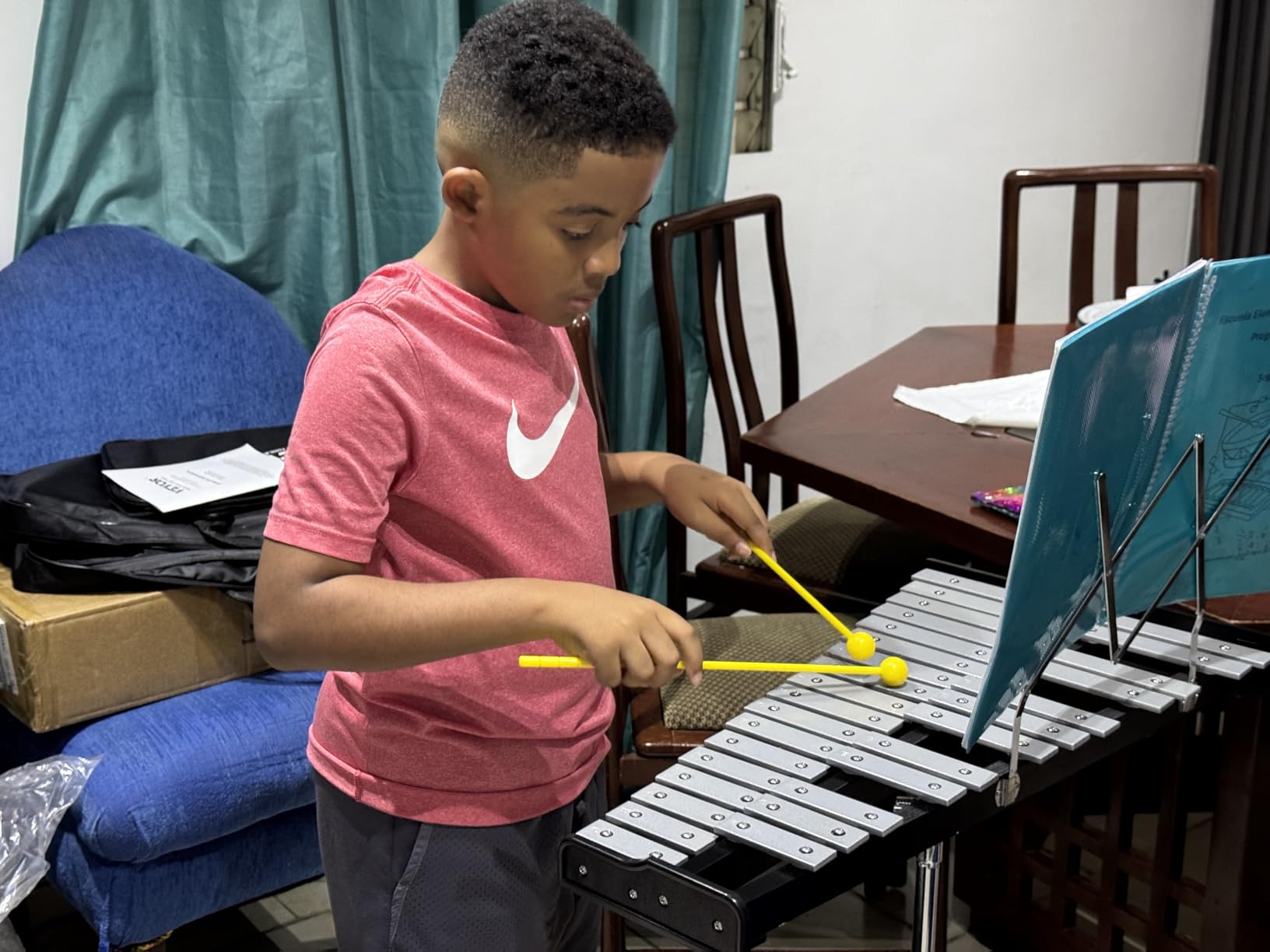 VEVOR Glockenspiel Xylophone, 32 Notes, Wooden Professional Xylophone Percussion Instrument, with Height Adjustable Stand, 4 Mallets, Carrying Bag, Beginner Musical Instrument Kit for Adults and Kids customer photo 1
