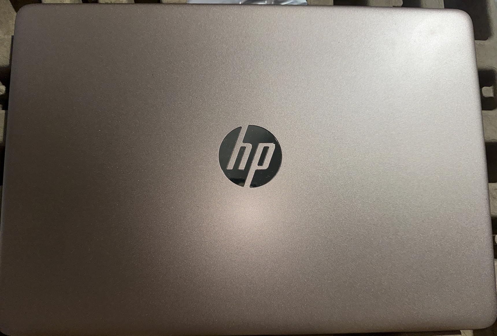 HP Ultrabook Laptop with Copilot AI 2026 Edition Latest Intel 4-Core N150 CPU 16GB RAM 128GB SSD + 1TB Cloud Storage Microsoft 365 Windows 11 Thin & Portable customer photo 2