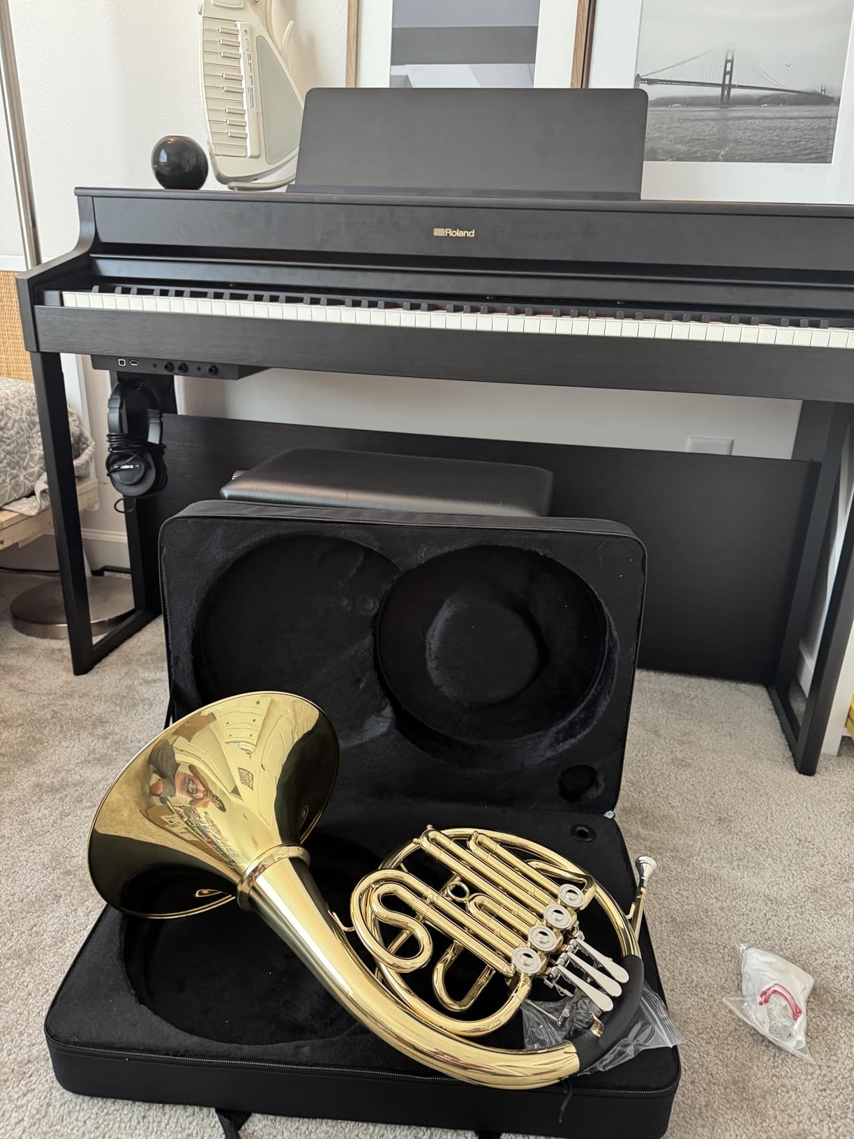 Double French Horn F/Bb 4 Keys, Gold Craft Lacquer Brass Professional French Horn, Complete Accessory Kit for Concert Band and Solo Performance (Silver) customer photo 1