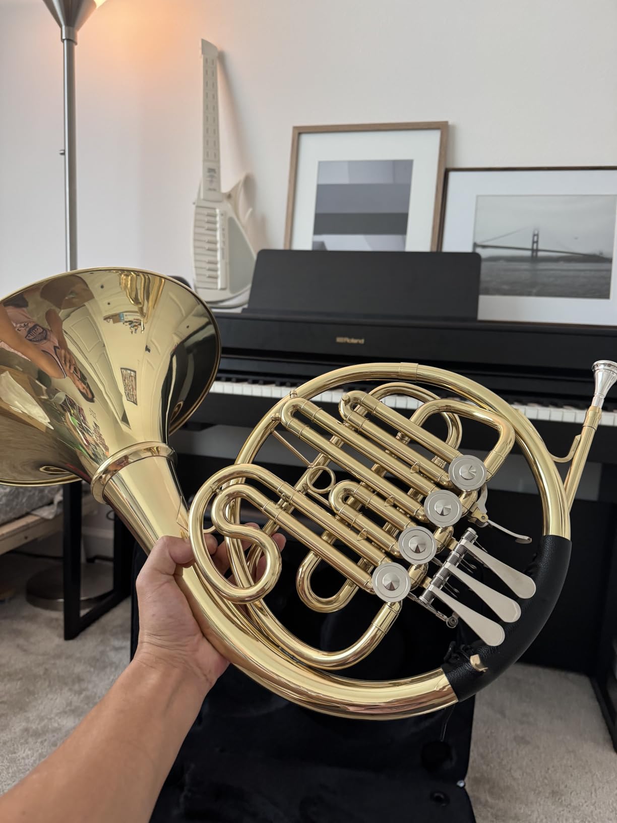 Double French Horn F/Bb 4 Keys, Gold Craft Lacquer Brass Professional French Horn, Complete Accessory Kit for Concert Band and Solo Performance (Silver) customer photo 2
